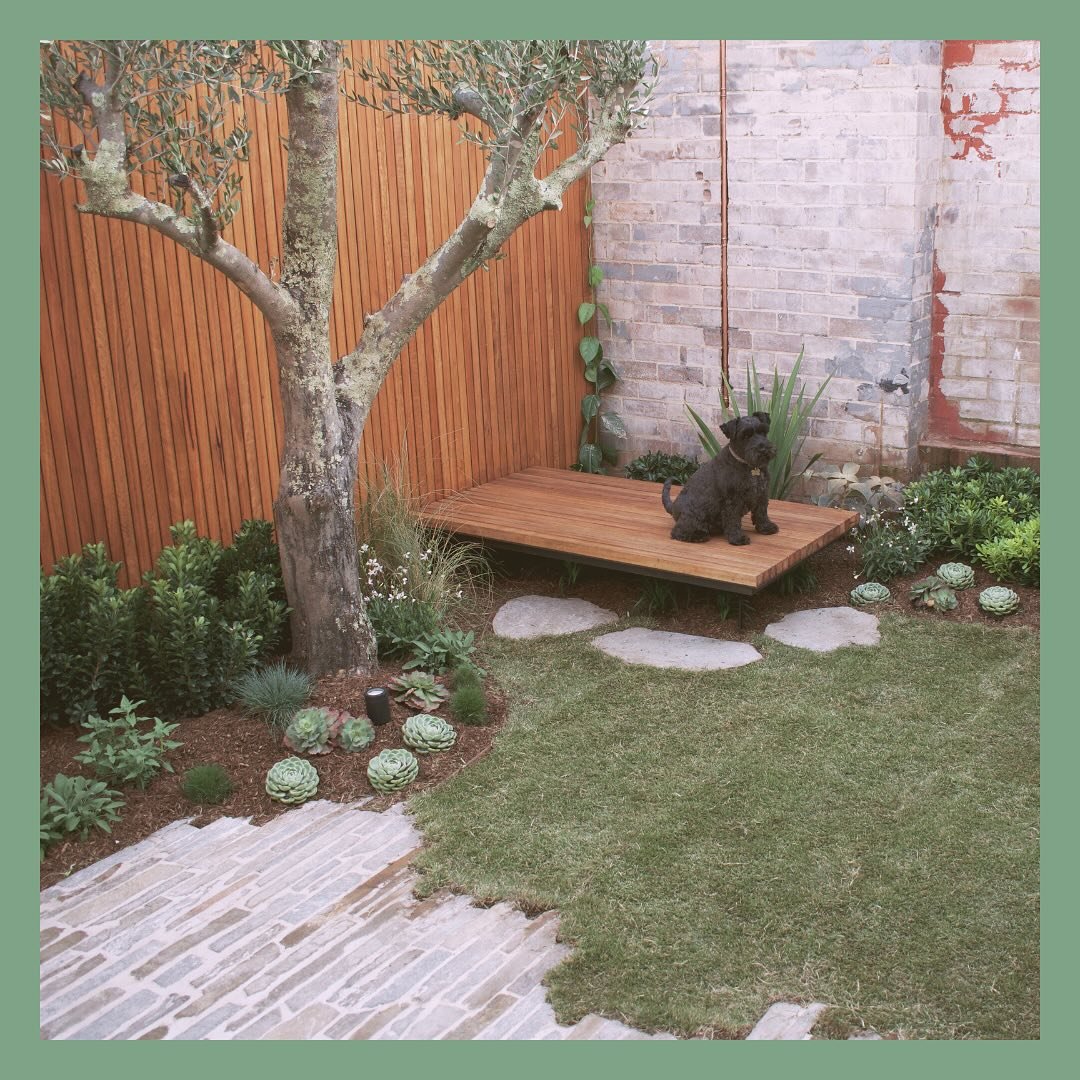 Recently completed Balmain project. Such a delight to transform this fully tiled courtyard into a more appropriate family space. A true extension of the home. Make sure you scroll to the end to see a before shot. 

Design: @niwa_designs 
Construction