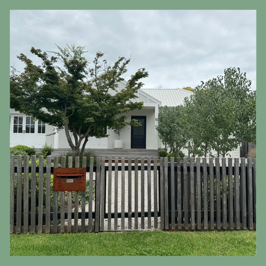 Our Bowral project that was planted a year ago, almost to the day. The brief was to design a garden that complements the architecture of the newly built home, hero the existing Acer and have street appeal. We think we hit the brief. 
Have a scroll an