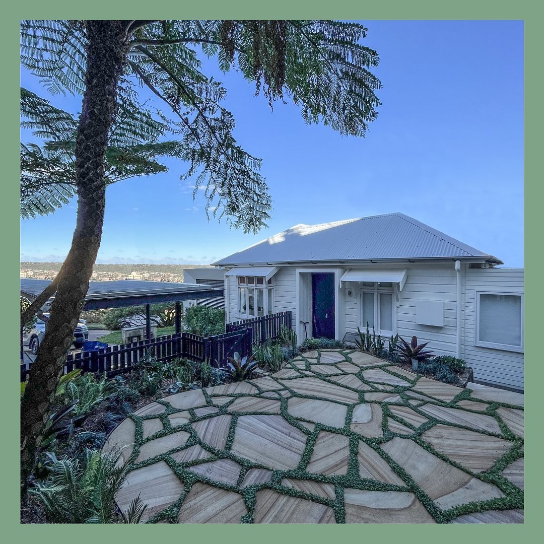 Fairlight project a few days after completion. 

This design was inspired by the surrounding coves and harbour. It was a tough site as it&rsquo;s almost in full shade due to the apartments to the north and it also has to deal with strong coastal wind