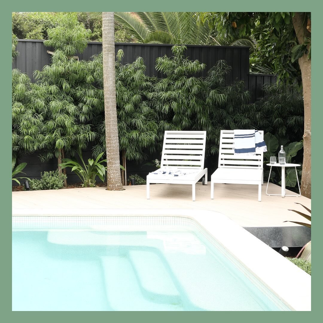 Where are you planning to relax this weekend? We would love to design your private retreat for some R&amp;R. 

Install: @ivory.gardens 
Design: @niwa_designs X @ivory.gardens 
Plants: @sydneyplantco
📸: @aschcreative