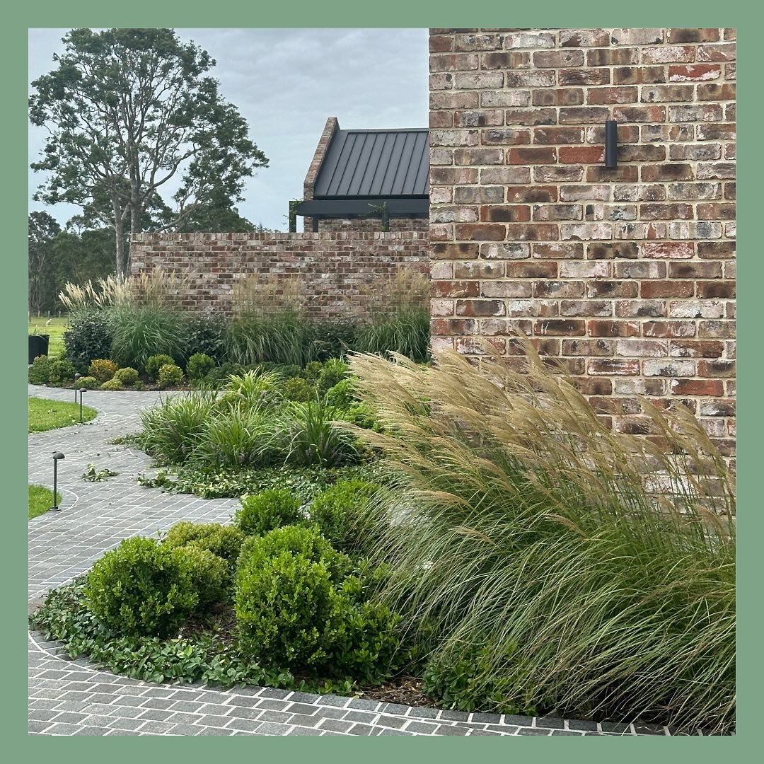 GLEN MARTIN, Rural NSW 

This rural garden is establishing just as we envisaged under the care of the talented team @gardenlust.au 

Installed: End of 2021

Landscape design: @niwa_designs 
Installation: @gardenlust.au 
Architect: Marsden Design
Plan