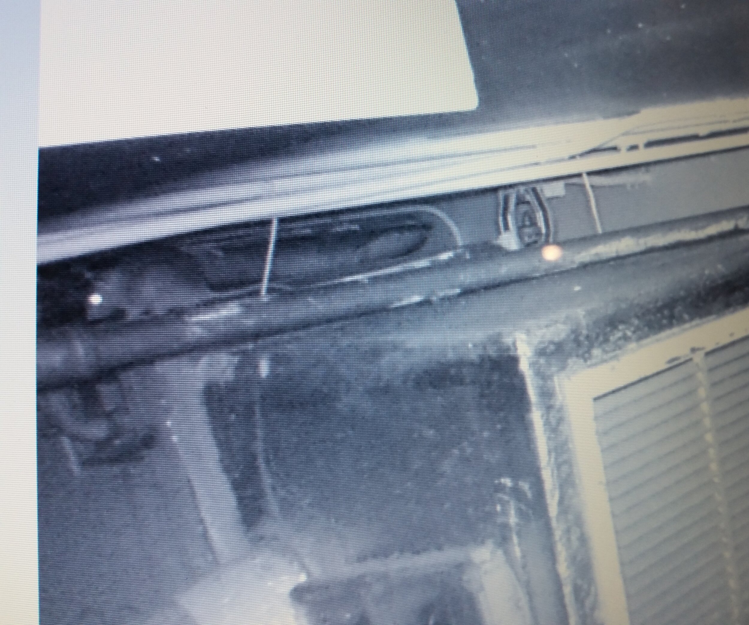 Rat_camera_2.jpg