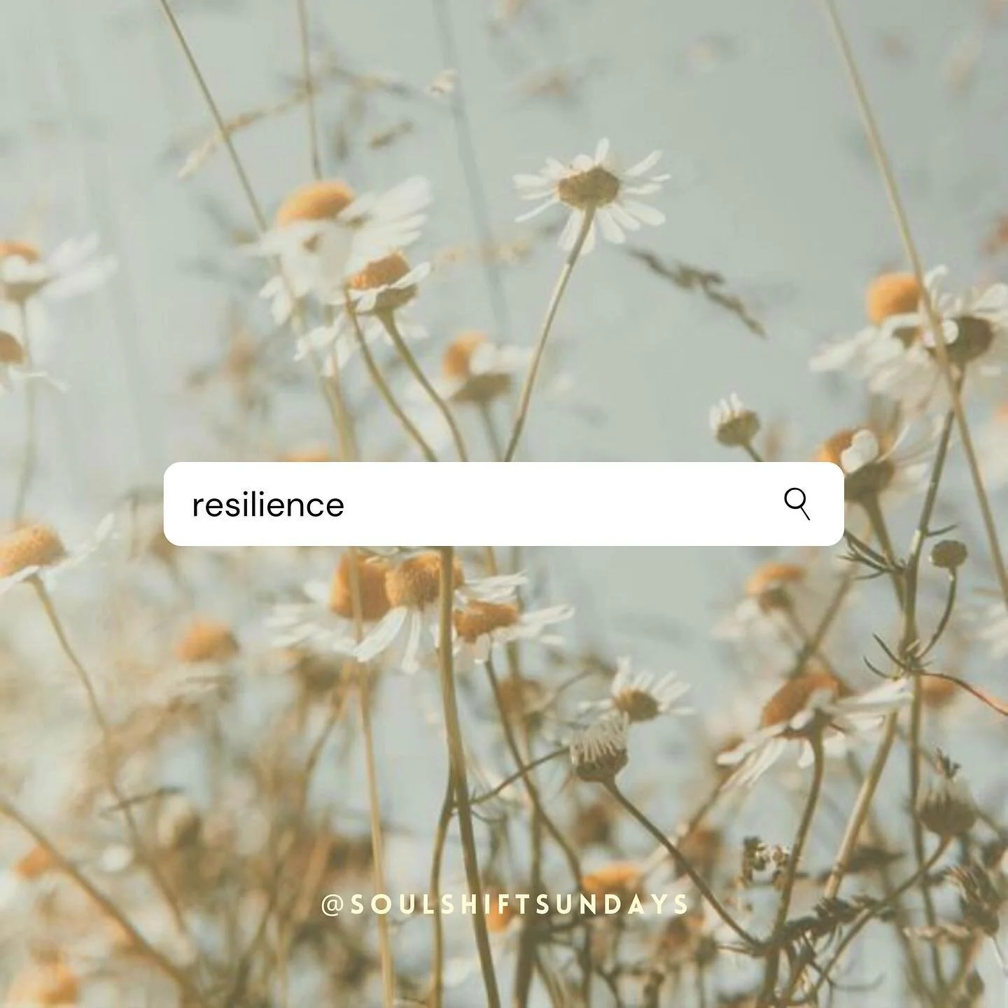 ⍝ R E S I L I  E N C E ⠀ ⠀⠀⠀⠀ ⠀⠀⠀⠀
&bull;⠀⠀⠀⠀ ⠀⠀⠀⠀ ⠀⠀⠀⠀ ⠀⠀⠀⠀ ⠀⠀⠀⠀ ⠀⠀⠀⠀
We spoke to artist @chris_dyer this week about life during quarantine, his creative process and ways to get more connected to your true self. ⠀⠀⠀⠀ ⠀⠀⠀⠀⠀ &bull;⠀⠀⠀⠀ ⠀⠀⠀⠀ ⠀⠀⠀⠀ ⠀⠀⠀⠀ 