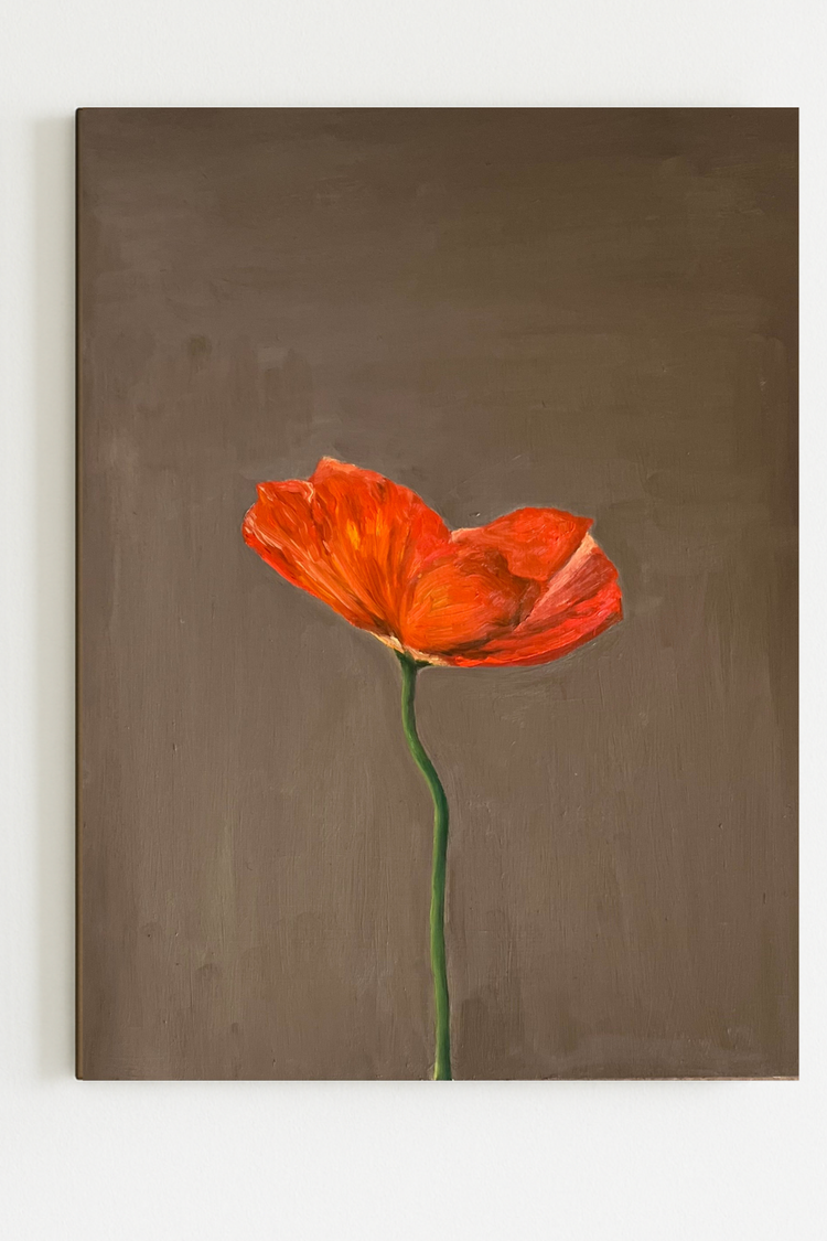bright poppy - 2.jpg