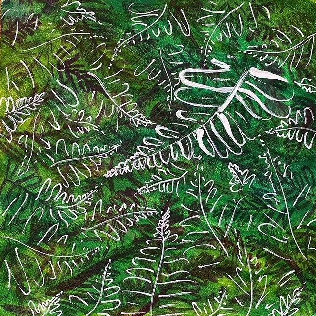 #ferns