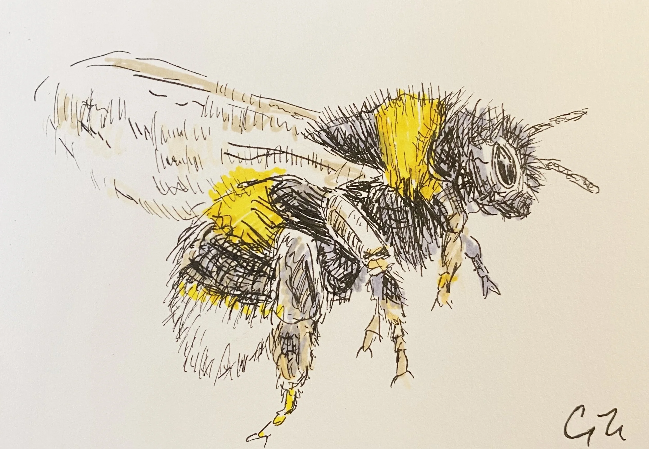   Buzz , 2020, marker on paper.  