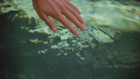 gif (7).gif
