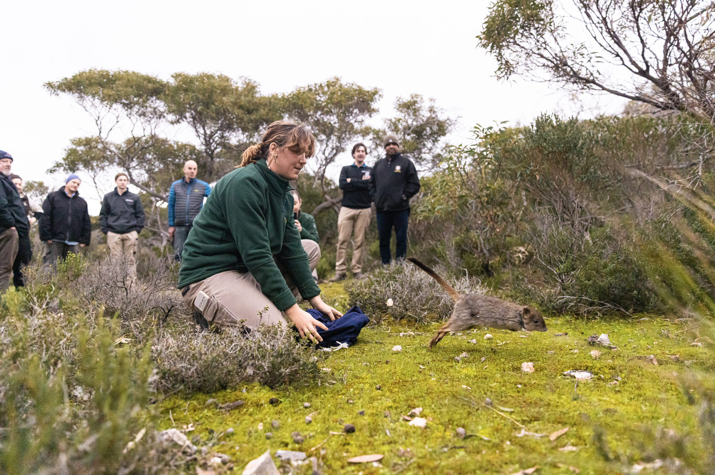 Screenshot 2023-05-01 at 7.03.11 pm.png