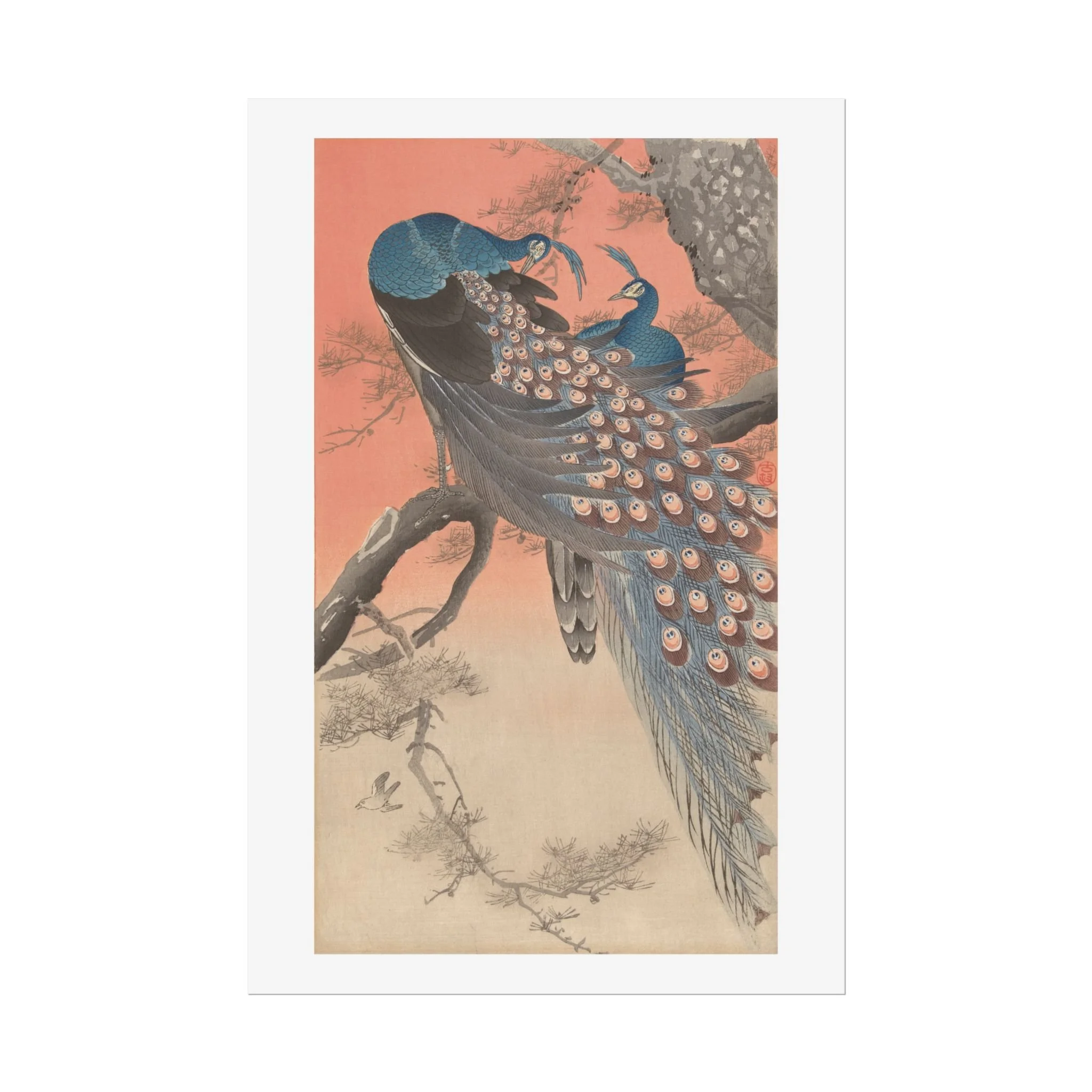 Two Peacocks | 1900 - 1930 by Ohara Koson