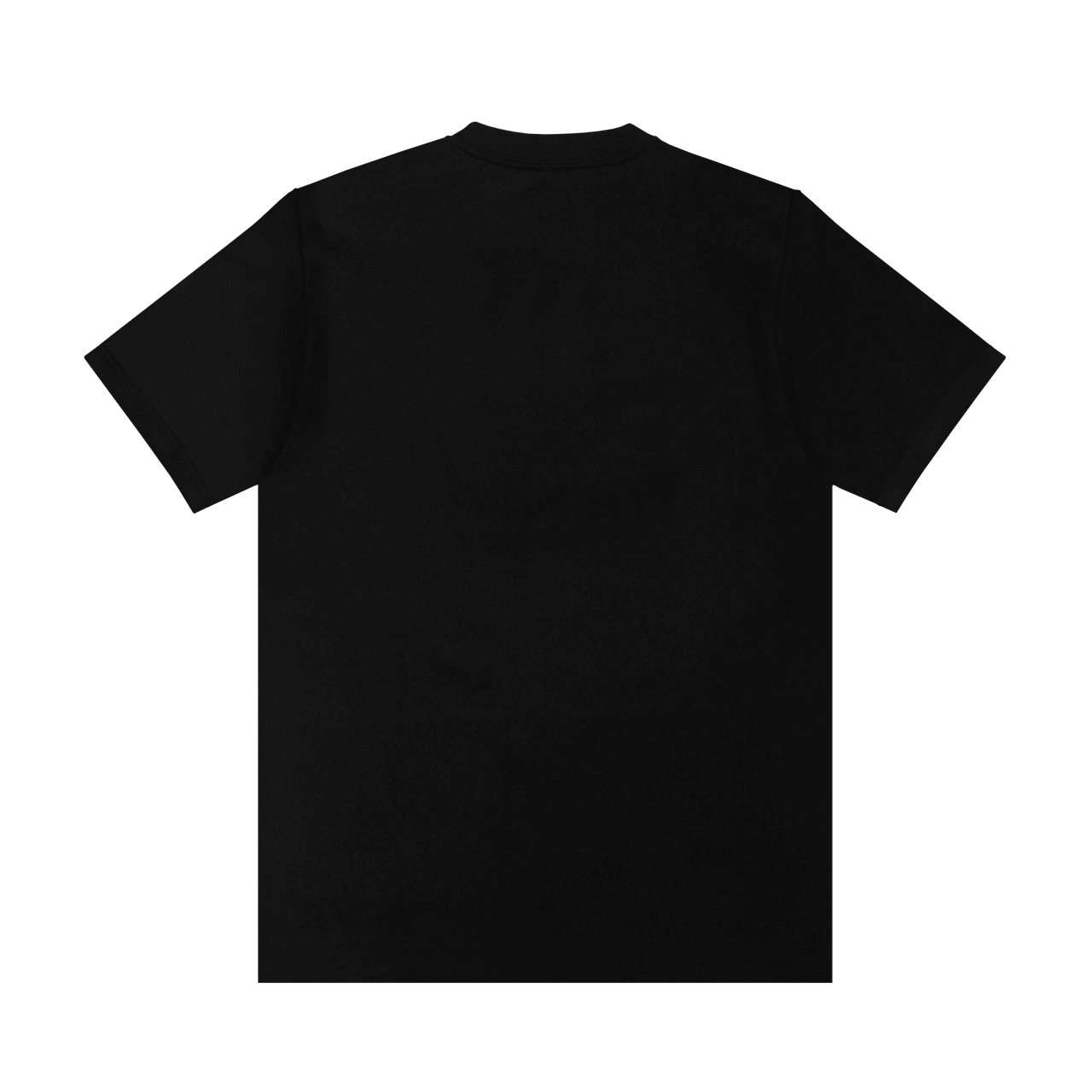 RAGGED KINGDOM T-SHIRT — RAGGED KINGDOM
