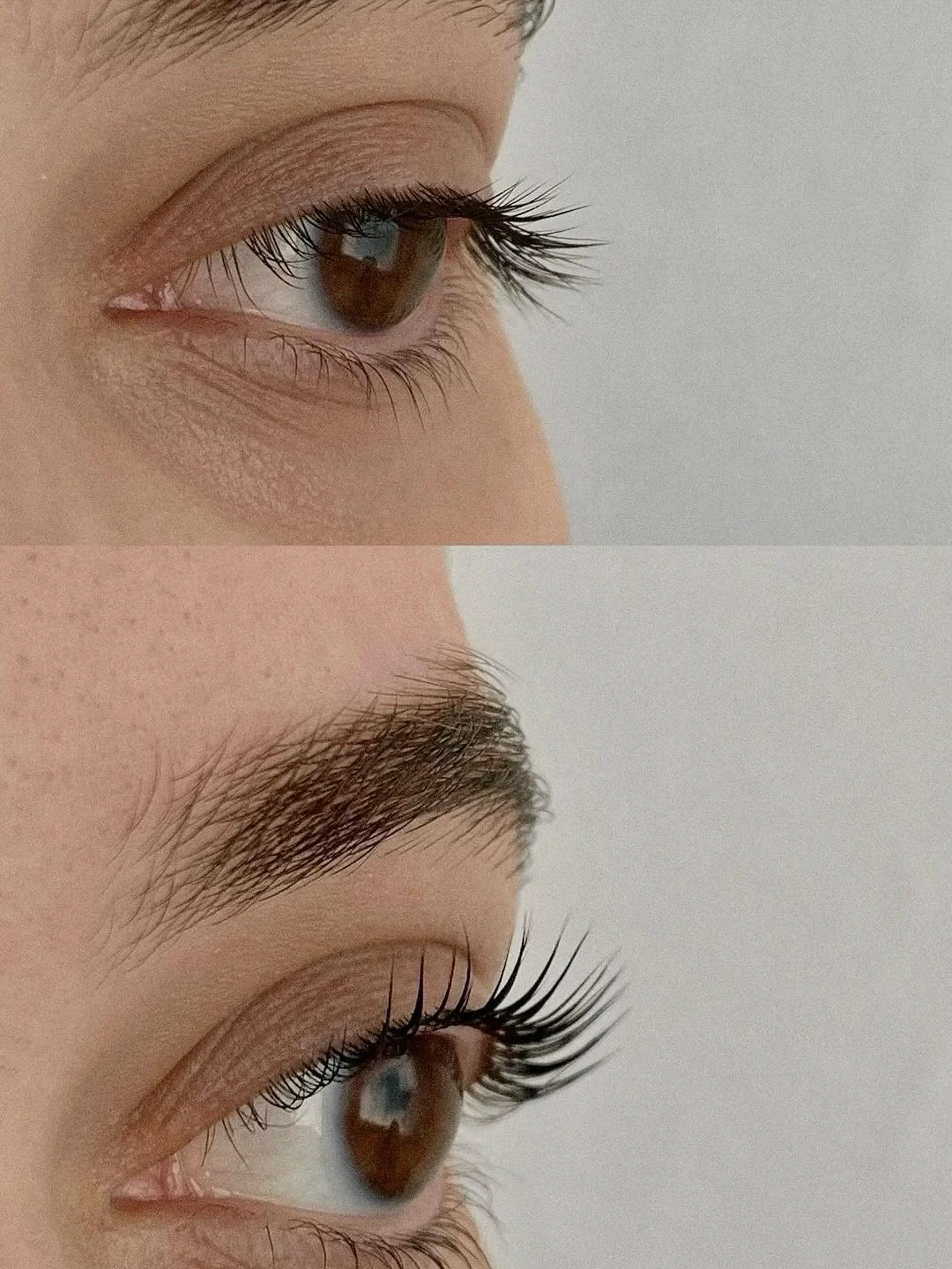 Lash lift - perfekt inf&ouml;r decembers alla festligheter! 

En skonsam behandling som inte skadar dina naturliga fransar, b&ouml;jda och f&auml;rgade fransar i upp till 8 veckor ✨