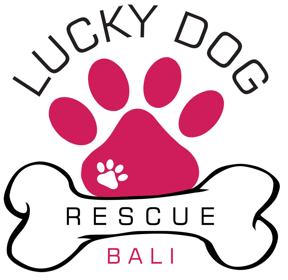 adoption-form-saving-bali-dogs-lucky-dog-rescue-bali