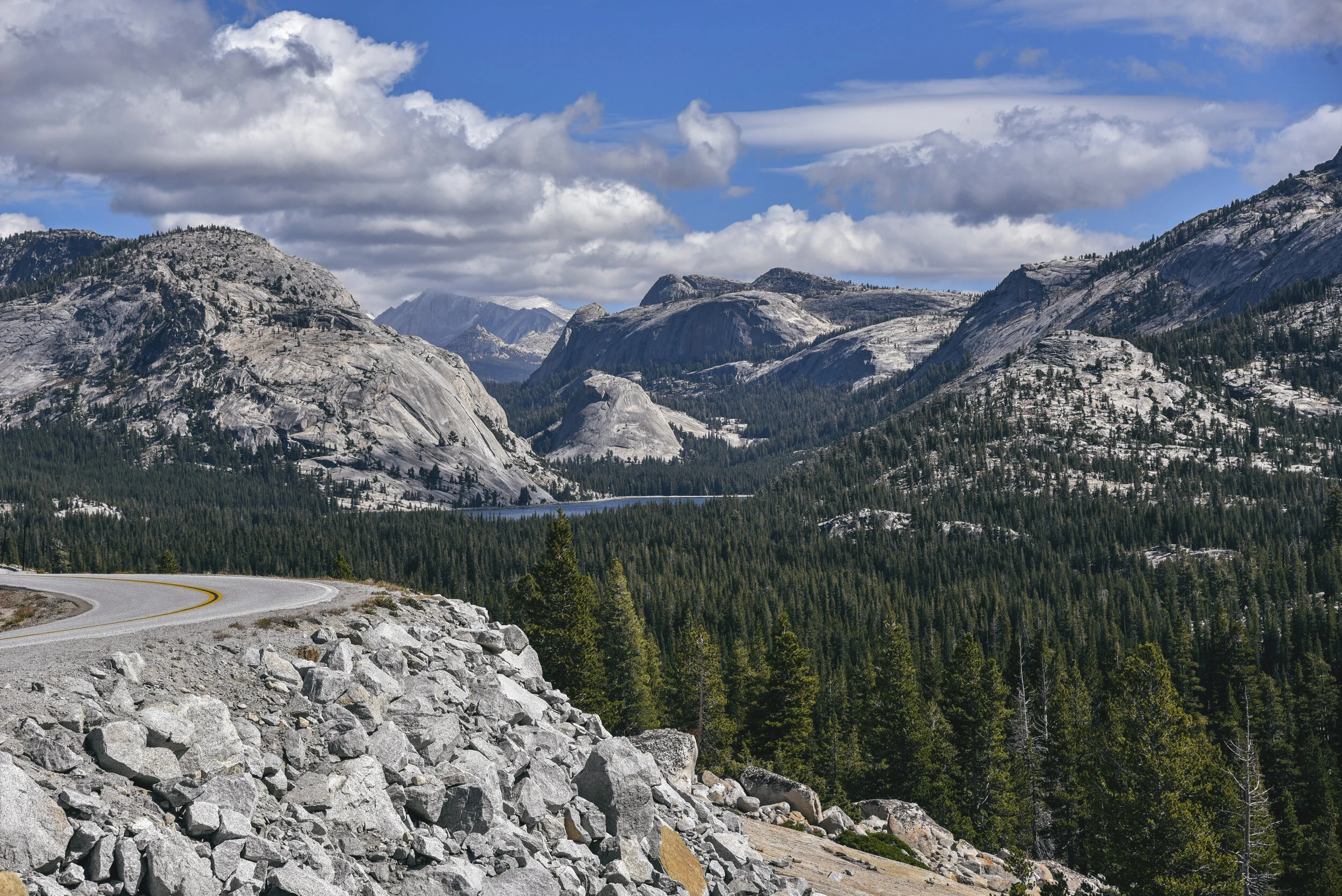 DSC_6282P.jpg