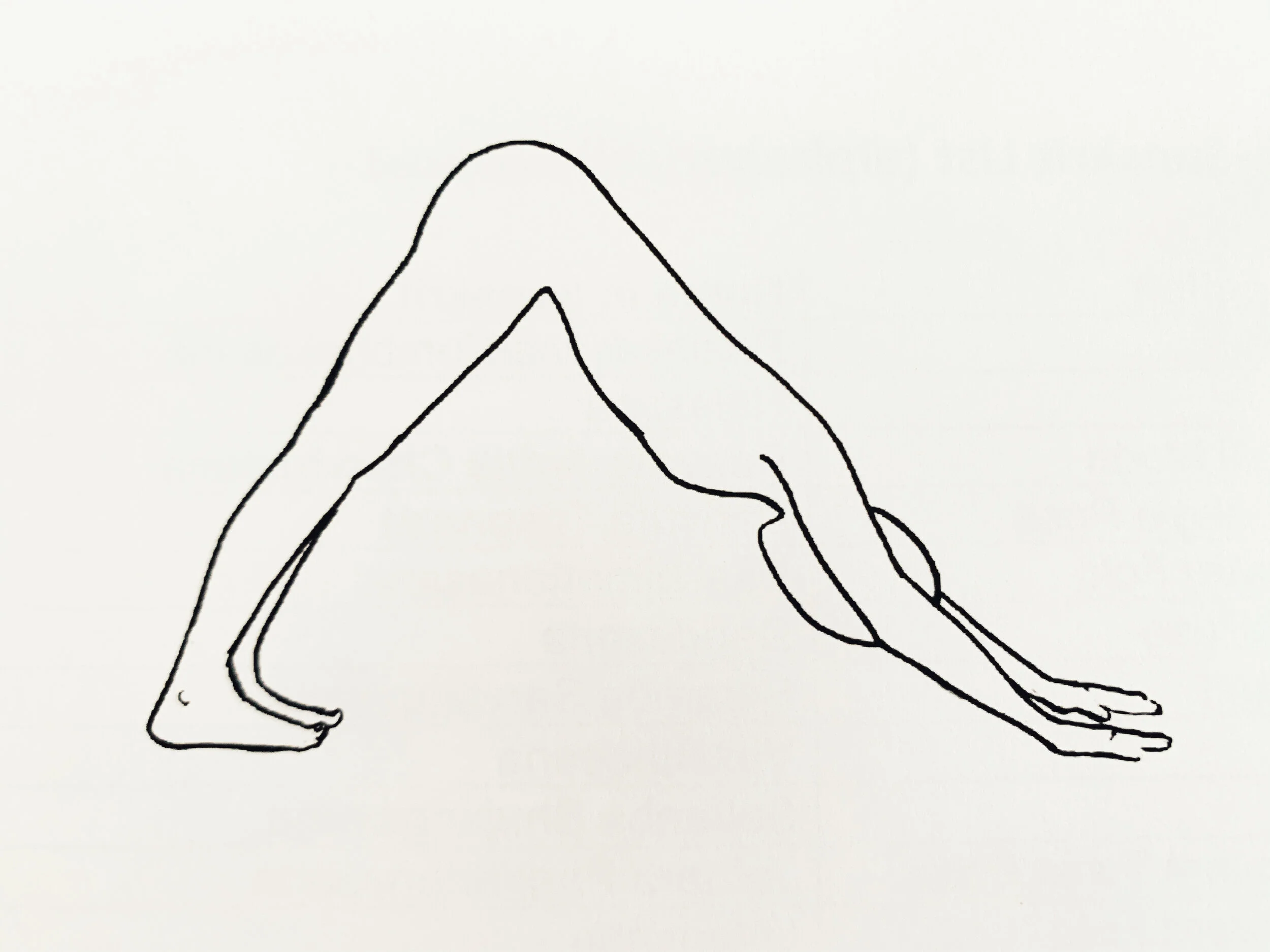 Hands On Assists For Downward Facing Dog (Adho Mukha Svanasana)