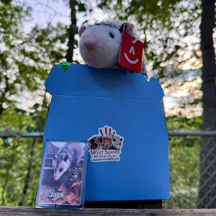 ‼️There are less than 12 hours left on our auction‼️

Our online auction closes TONIGHT at 11:45 PM, and there are less than 12 hours left to place your bids on some truly incredible items and experiences!

Every single bid goes directly to the life 