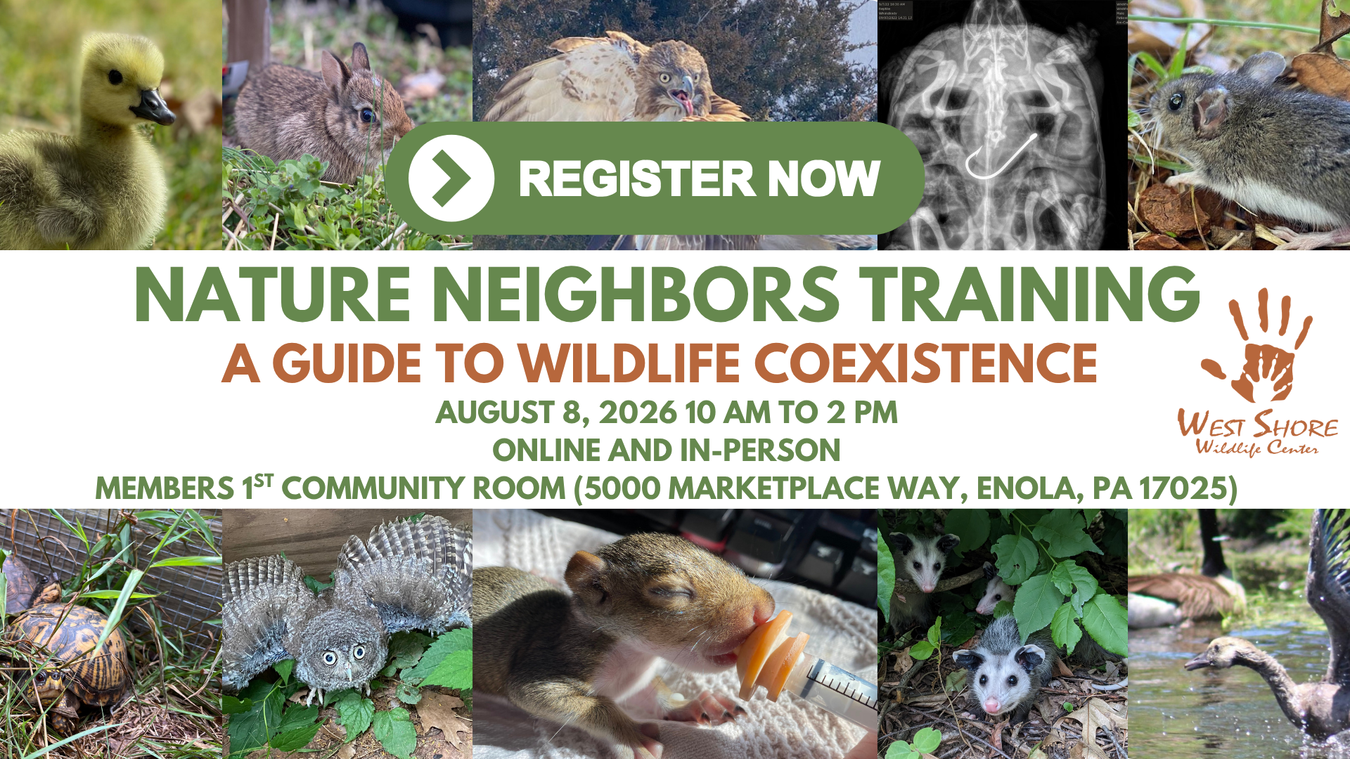 Nature Neighbors Training: A Guide to Wildlife Coexistence