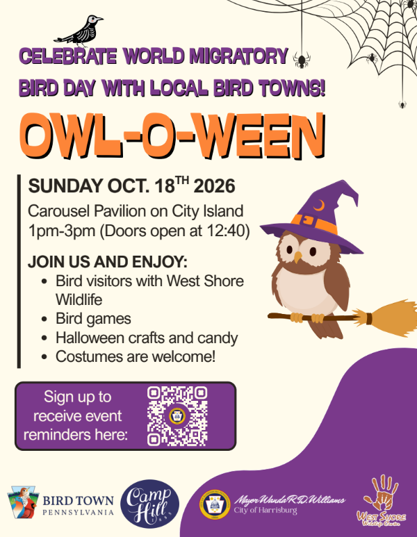 Owl-O-Ween