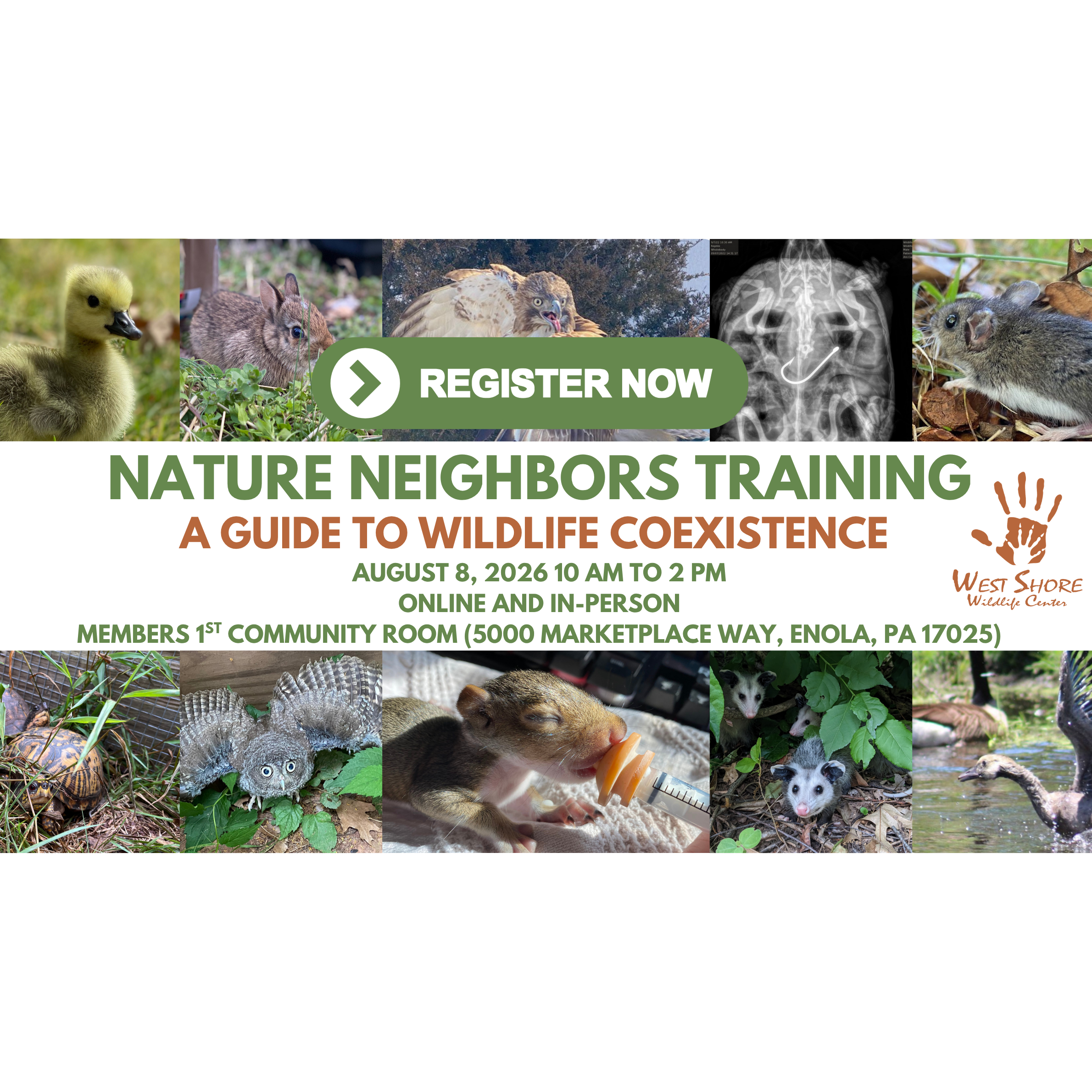 Nature Neighbors Training (Square Pillow) (1).png