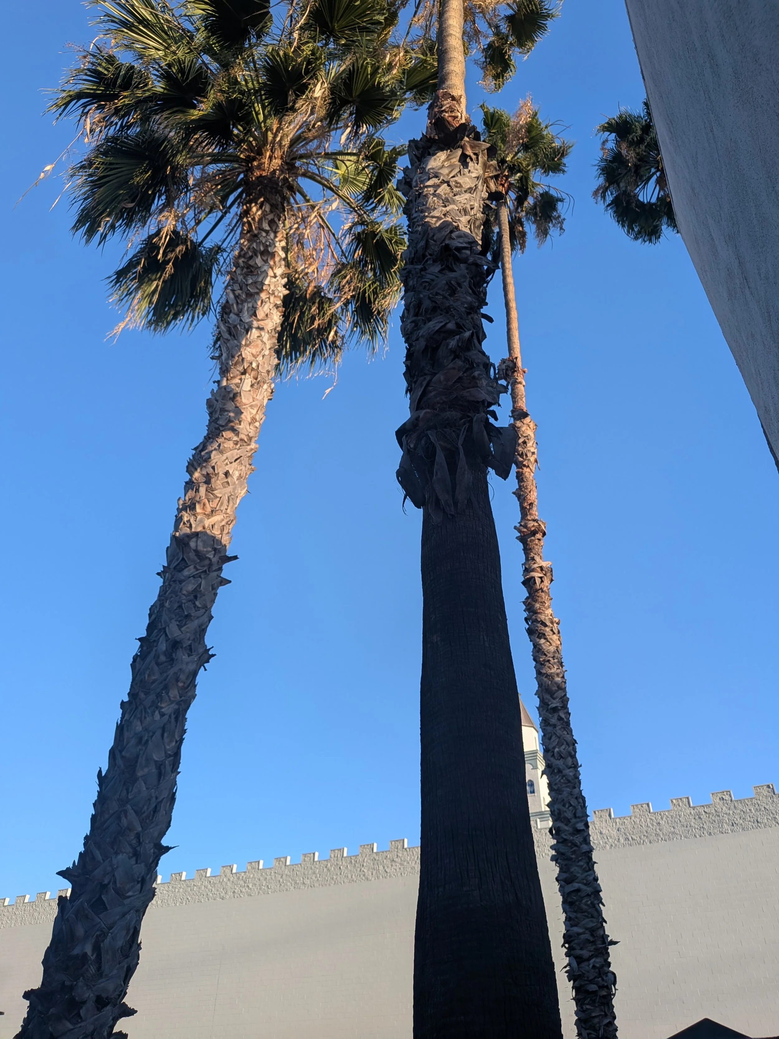 anaheim hotel.jpg