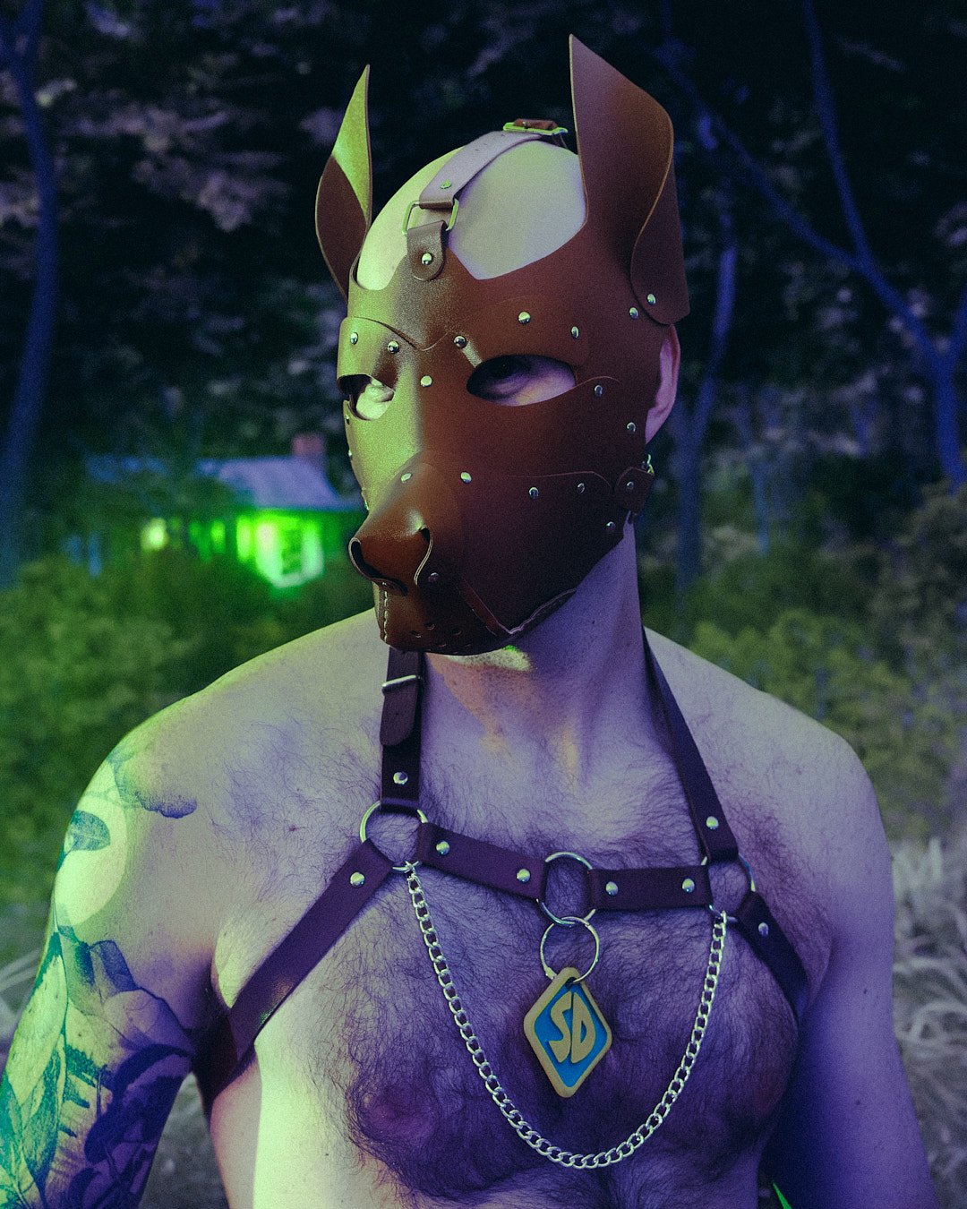 283_background_good.jpg