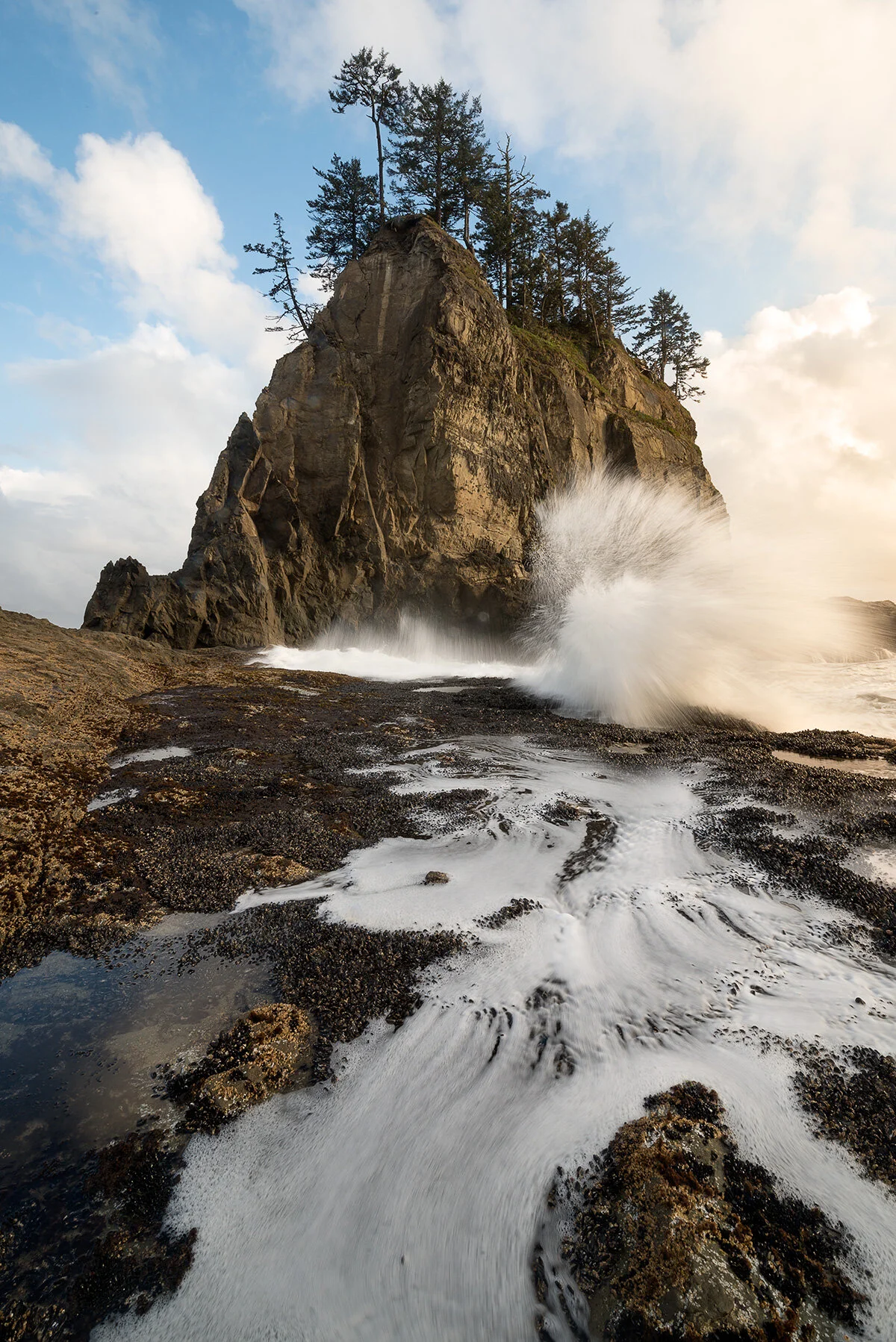  Michal Dvorak photo, Michal Dvořák fotografie, Oregon, seaside. pobřeží, u moře, landscape, landscape photography, beautiful landscape, nature, wild nature, ocean, krajinářská fotografie, fotografie krajiny, příroda, divoká příroda, dramatická kraji