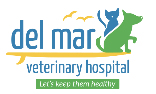 del mar veterinary hospital 