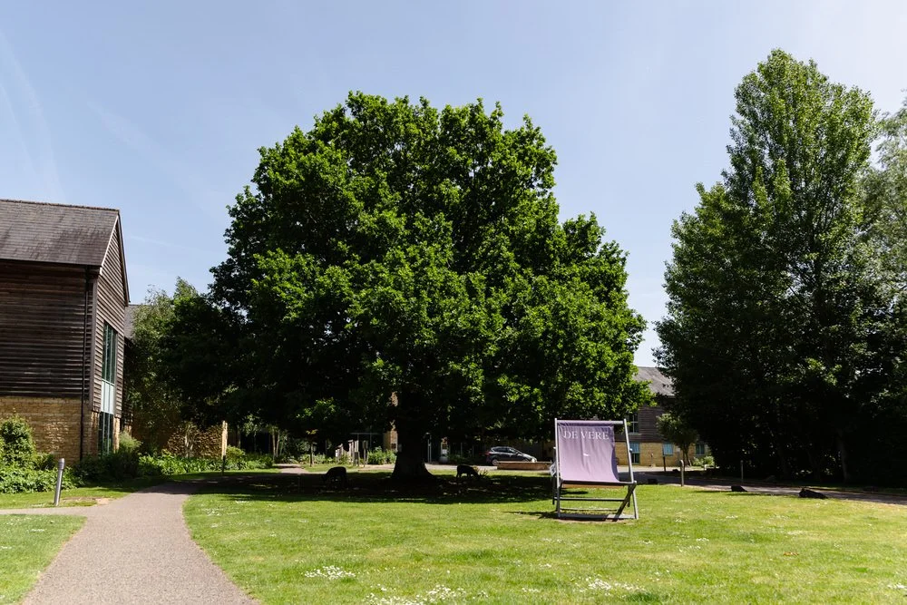 The oak tree on the front lawn at De Vere Cotswold Water Park, a popular wedding photo spot