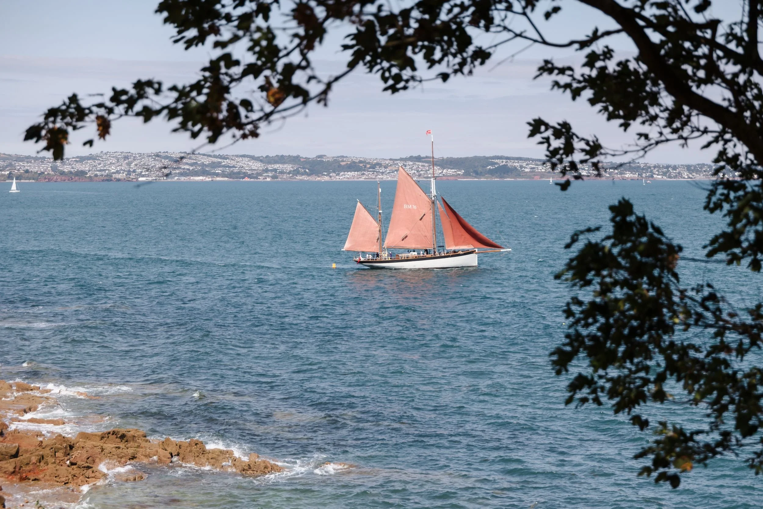 Red-sailed sailing boat crossing the bay, seen through the trees from the grounds of Berry Head Hotel in Brixham