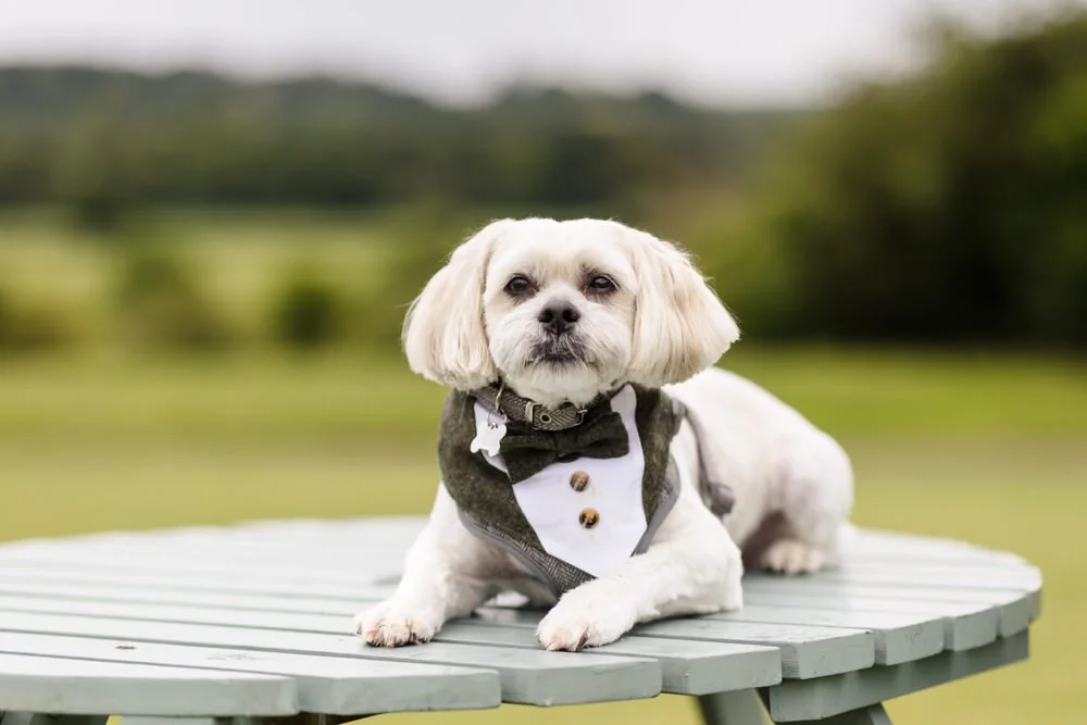 real wedding photo at Bordesley Park