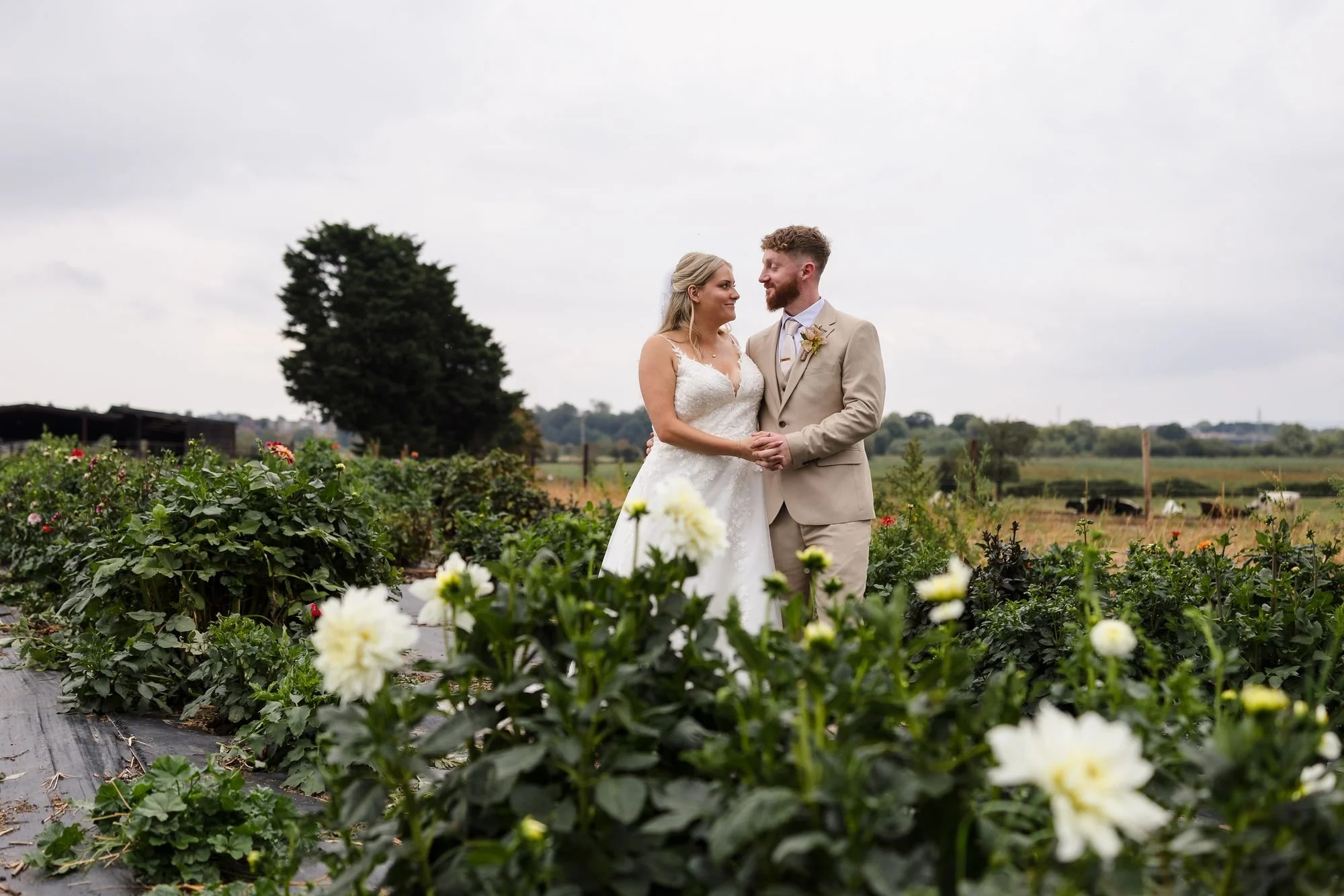 Abbie and Sean standing among rows of white and red dahlias in the flower-growing area on the farm at Bennetts Willow Barn