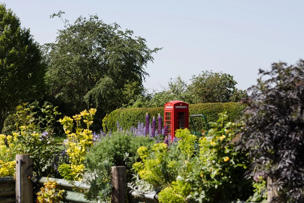 Red telephone box glimpsed through flowering borders in the gardens at Huntsmill Farm.