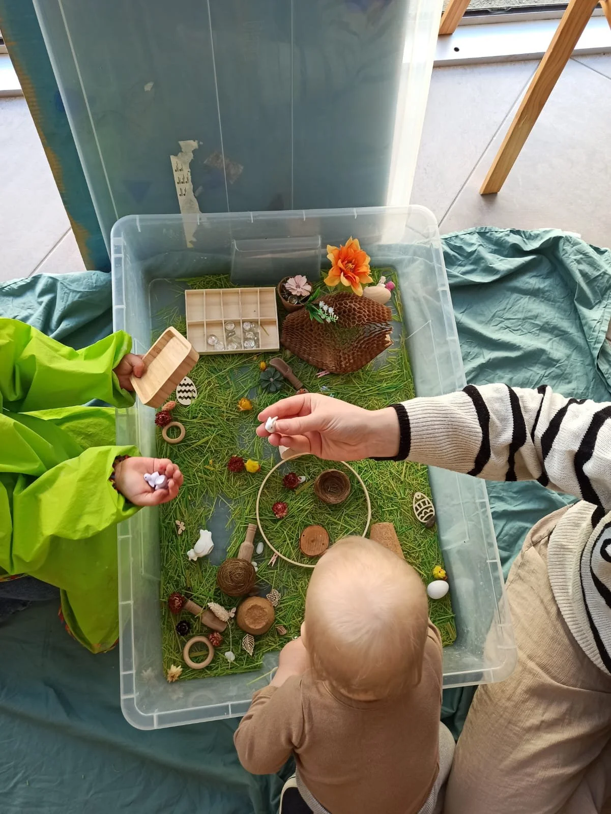 WhatsApp Image 2025-05-05 à 10.59.24_d5aa532f.jpg