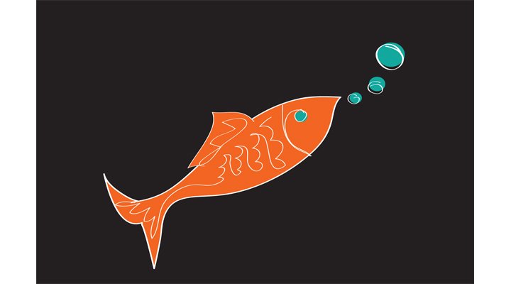 Illustrator - Fabric Pattern