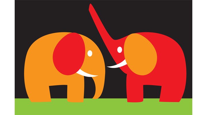 Illustrator - Fabric Pattern