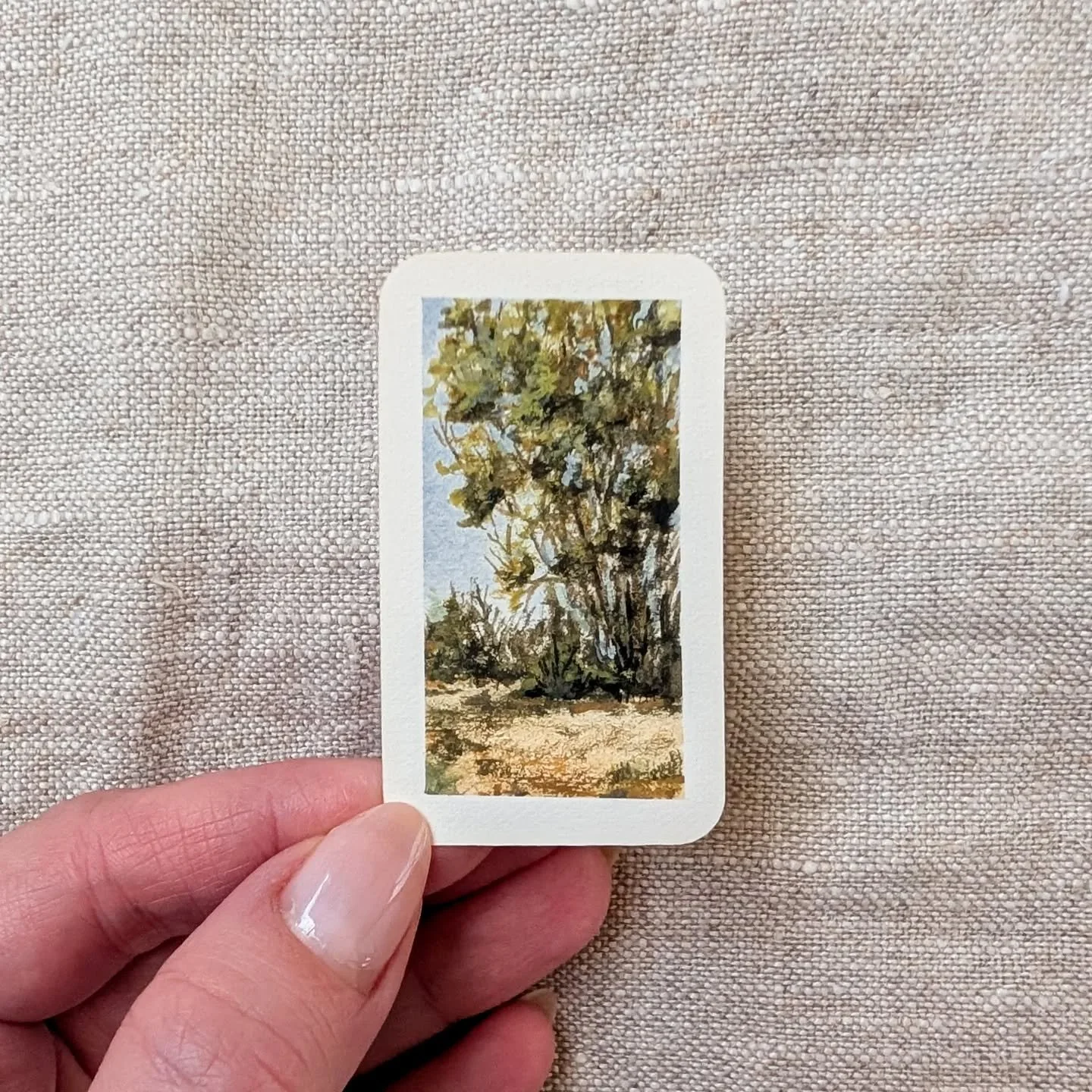 Day 14 | SOLD | Do you have a favorite so far?

#tinypainting #gouacheartist #landscapepainting #miniatures #tinyart #minnesotaartist #favoriteplace #artchallenge