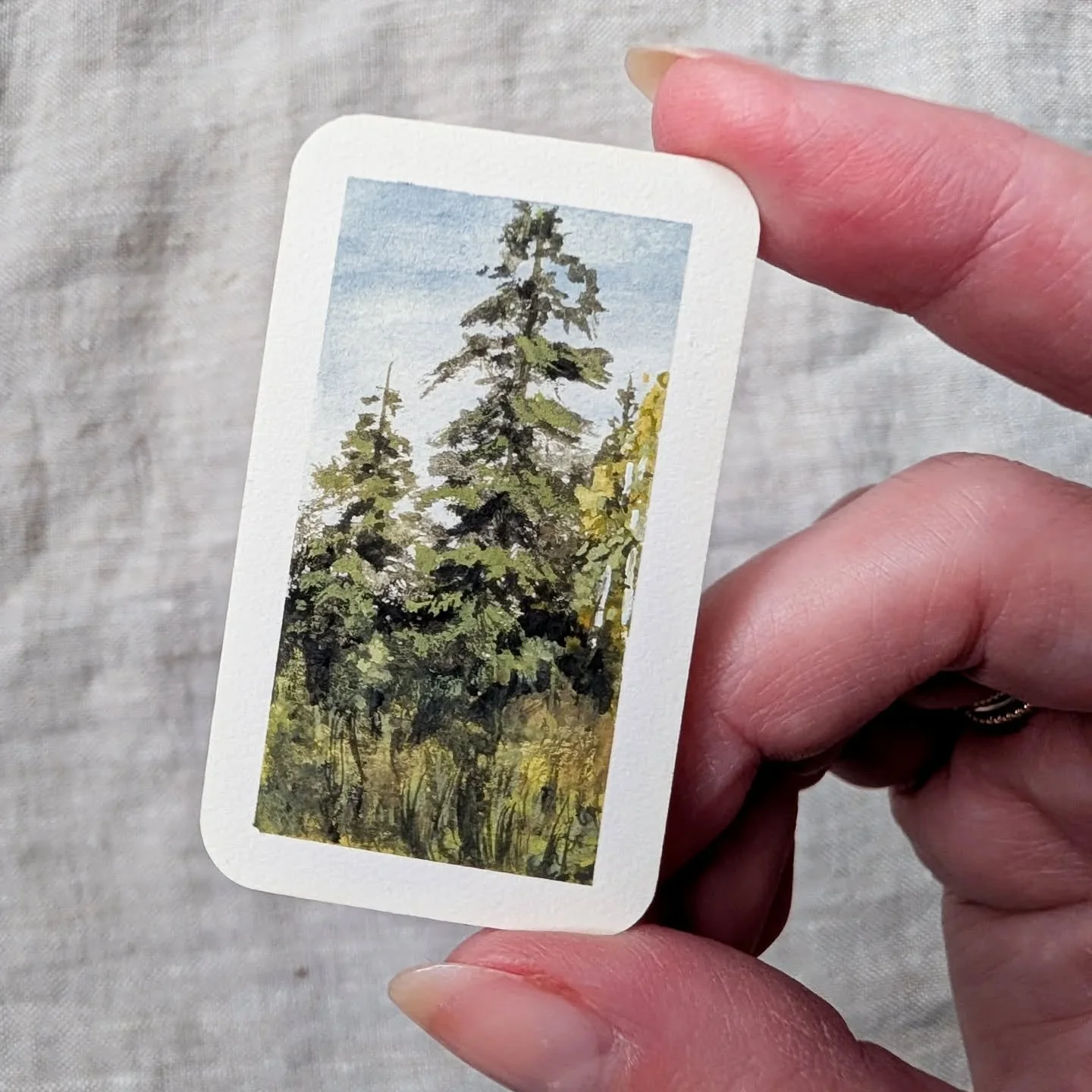 Day 20 | SOLD | Pine trees. My sister in law said I need to do some so I had to deliver 😊🌲 

#miniatureartist #gouacheartist #miniaturepainting #tinyart #artcollection #landscapepainter #pinetree #artwork_daily