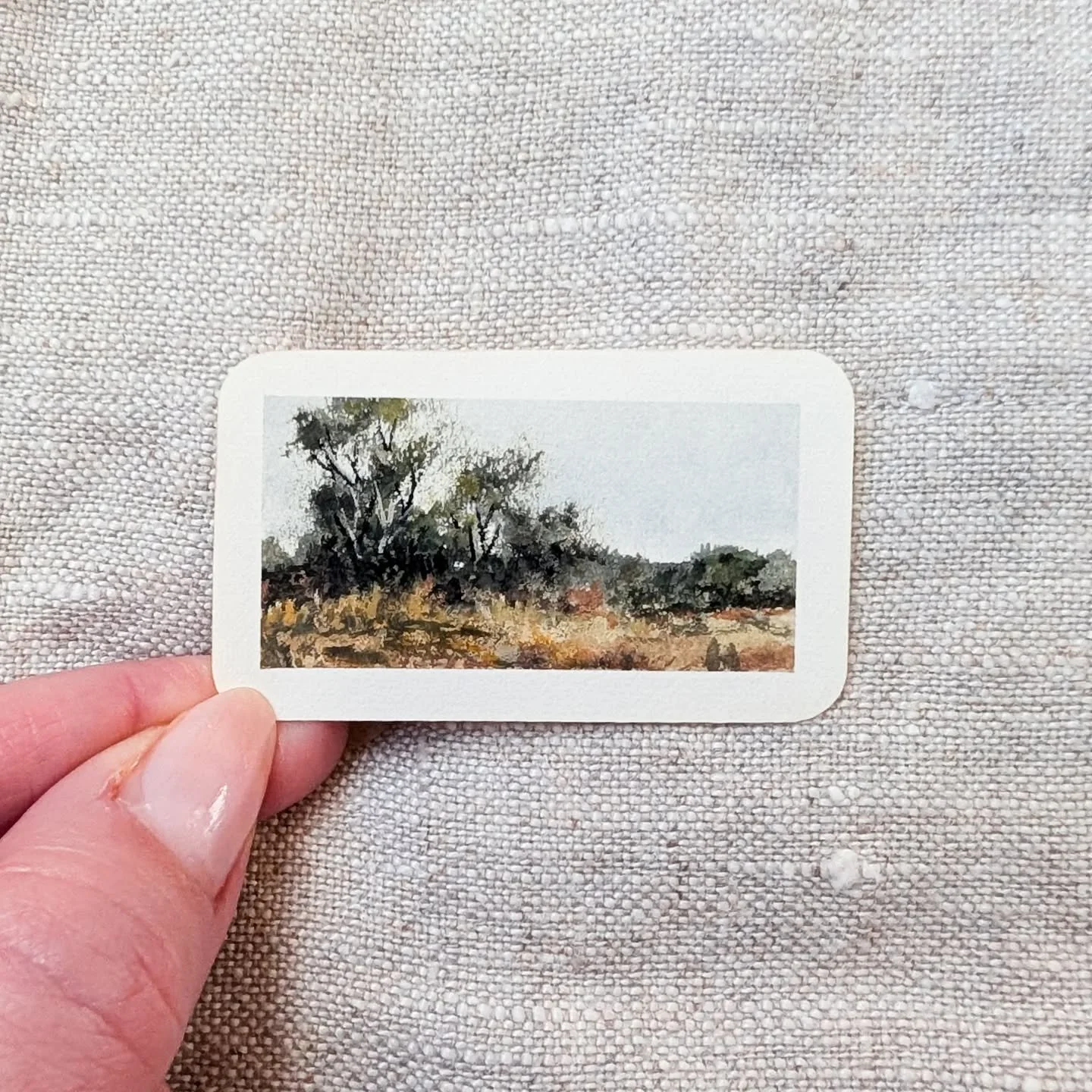 Day 23 | Available - link in bio

I'm drawn to these warm colors of the grasses drying up for the winter. There is something so beautiful in the decay and the changing seasons. 

#momentsofcalm #minnesotaartist #miniaturepainting #throughmyeyes #folk