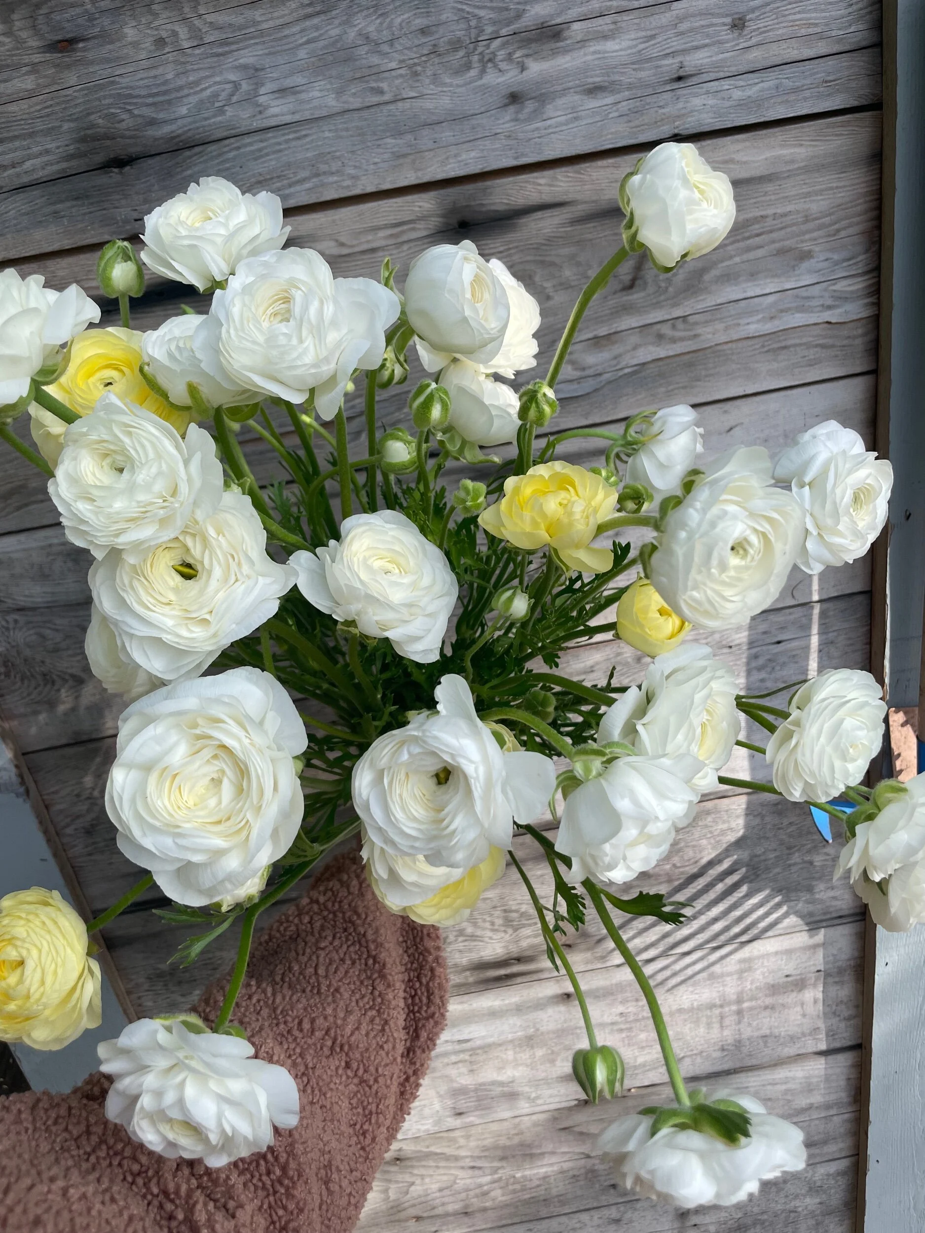 F3386028-F7BE-406F-B2B6-0A83820AAC7A