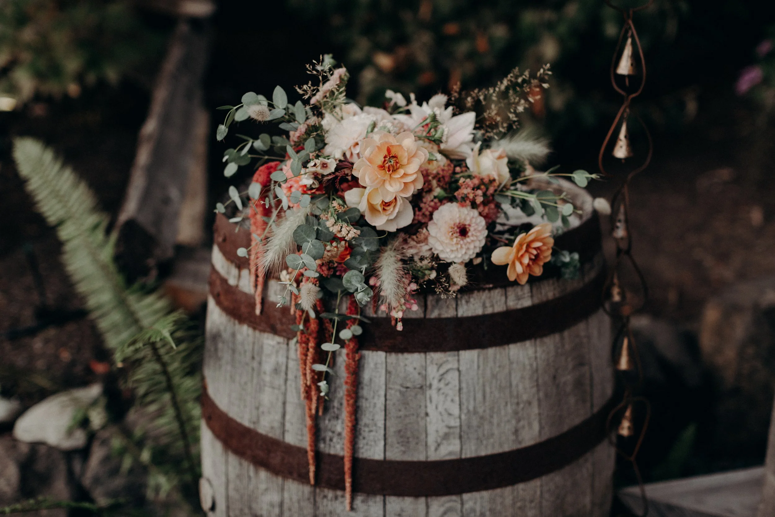 Photography by Sarah Stein