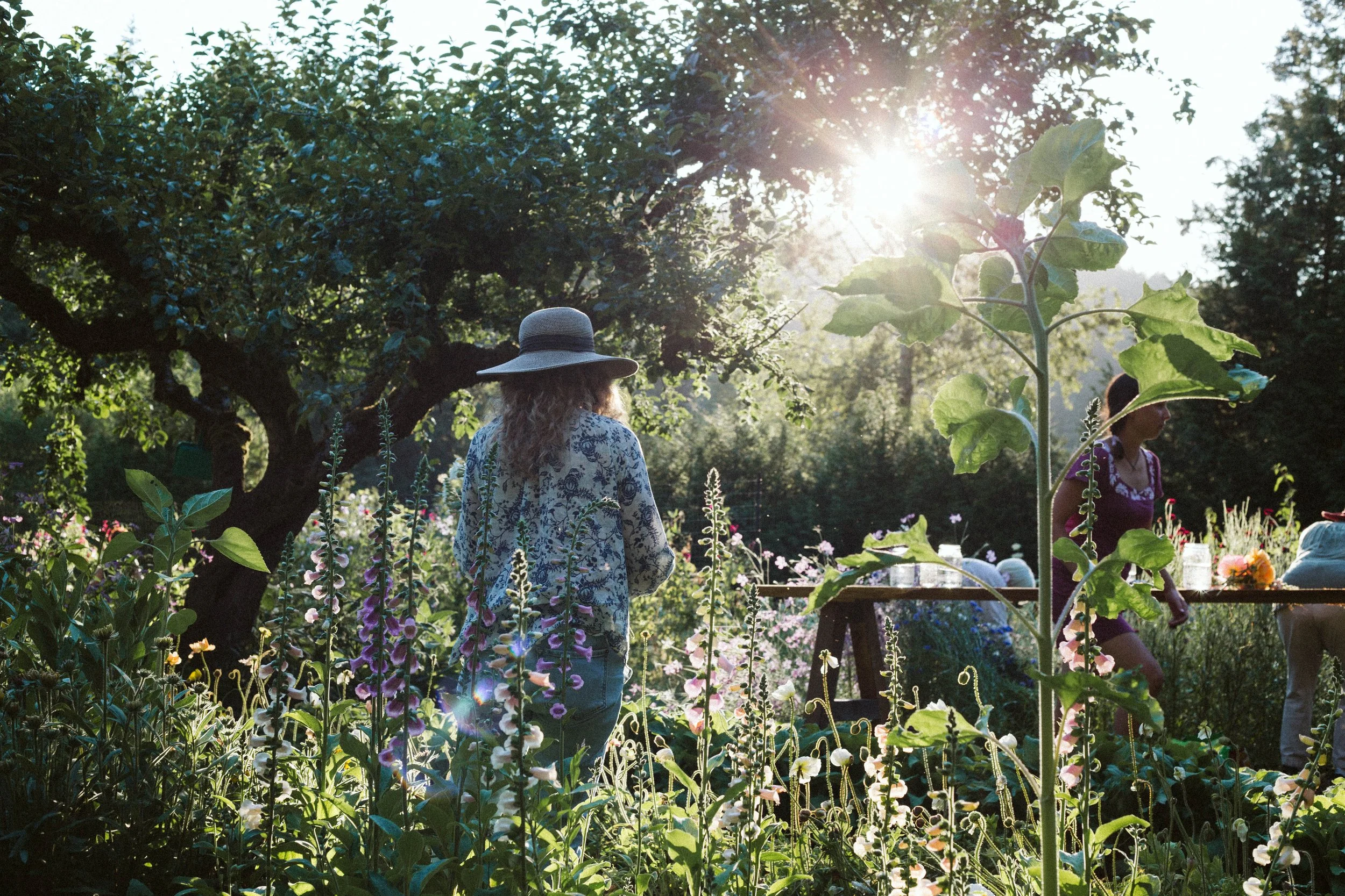 July Summer Flower Workshops