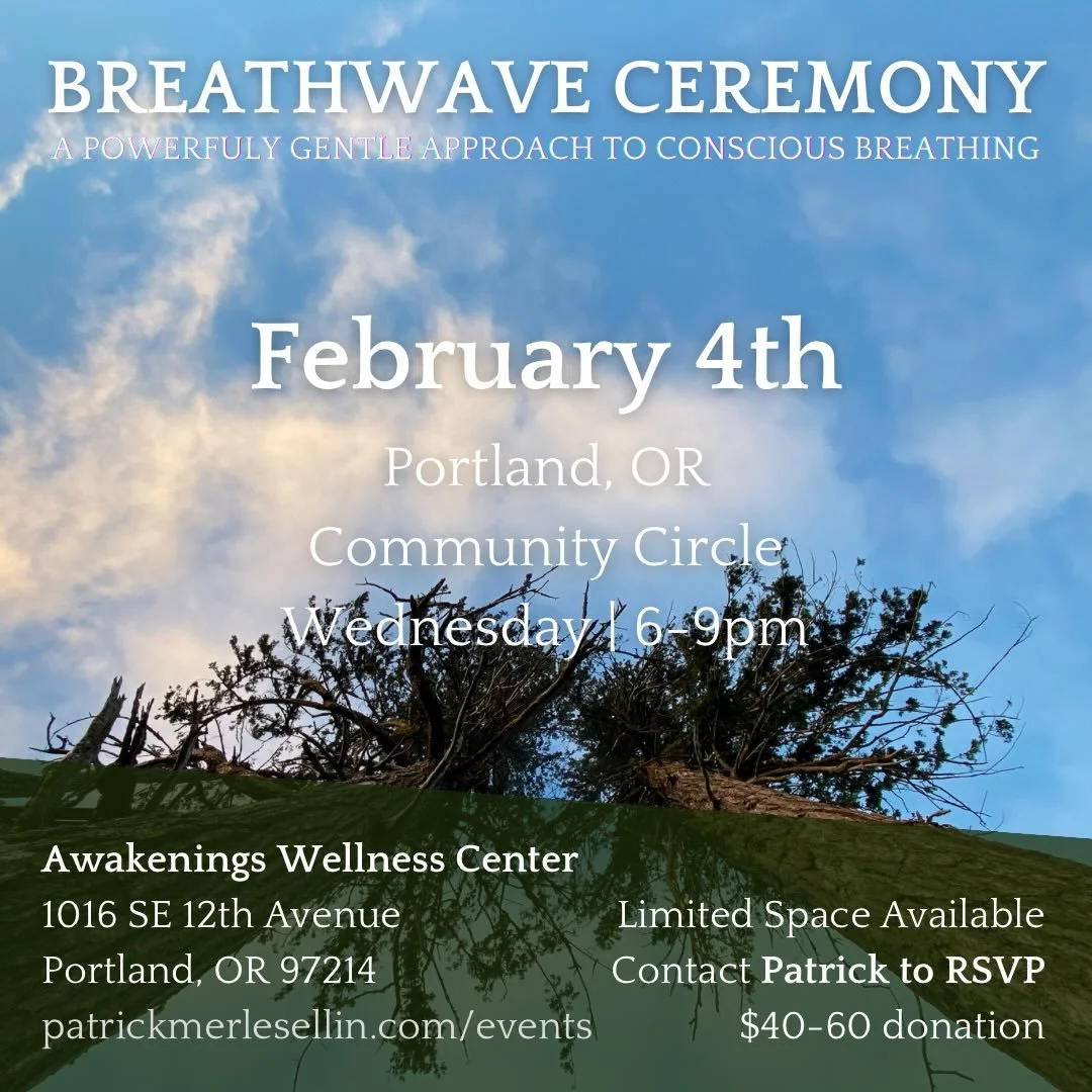 Breathwave is about leaning back into the body&rsquo;s deep intelligence to digest reality, 

to discover how reality looks once we feel safe in our own body.

I wonder how reality will look to you once you find yourself breathing between those confl