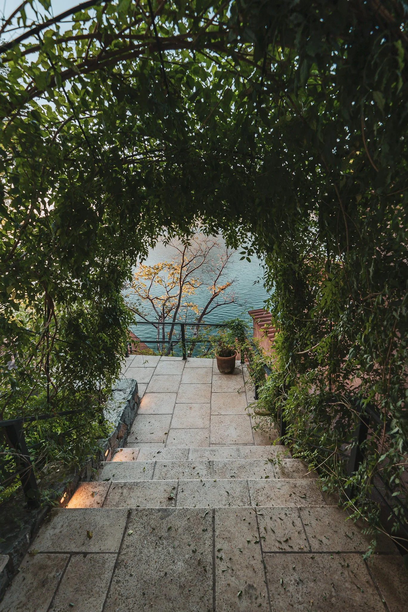 Copy of ASZ00594 (1).jpg