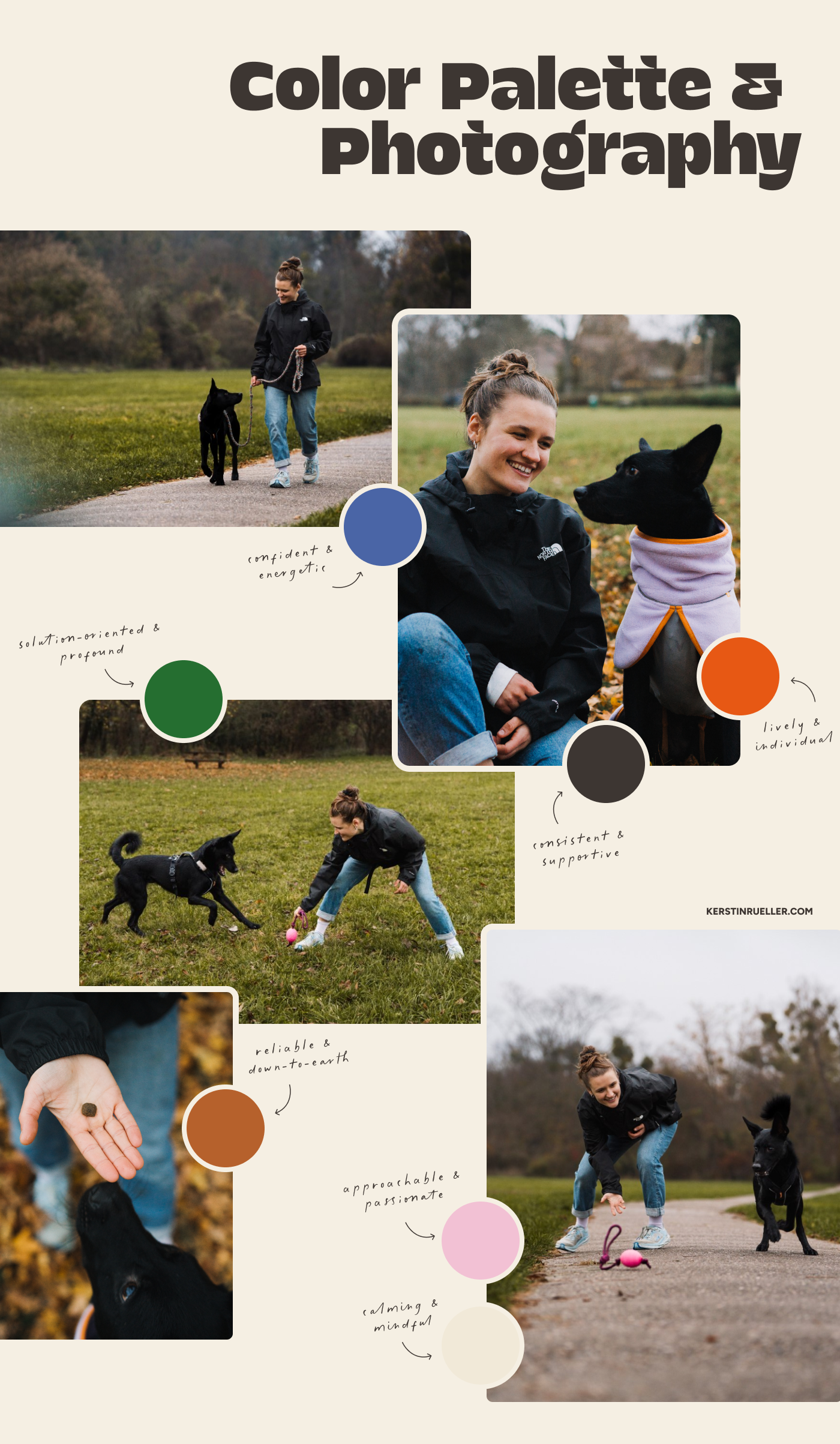Prodog_Color-Palette-Photography.png