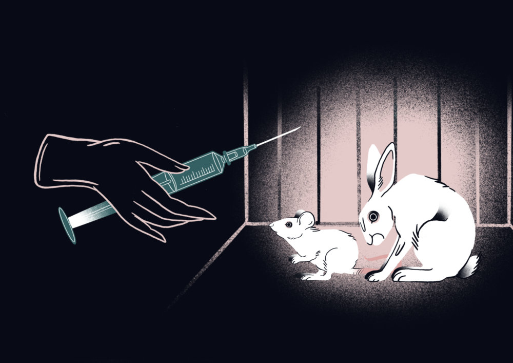 THE CRUELTY AND ABSURDITY OF ANIMAL TESTING AND EXPERIMENTS — Kerstin  Brueller Activism | Animal Rights & Liberation