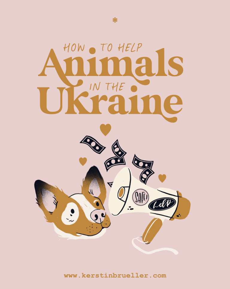 IG_Post_ANIMALS-UKRAINE (Medium).png