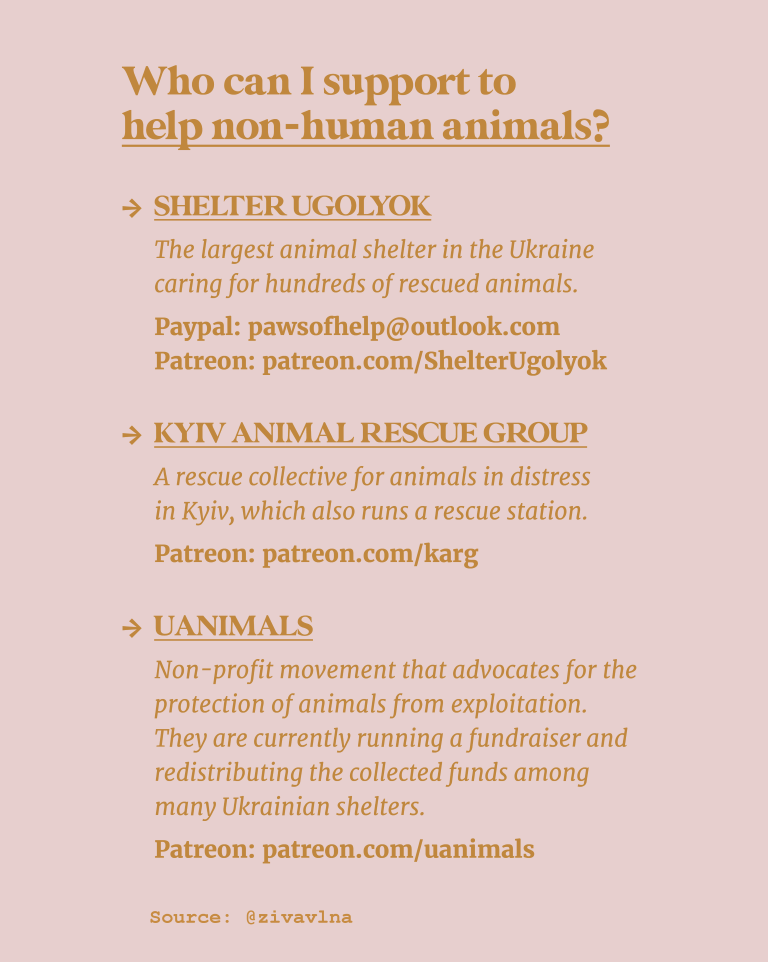 IG_Post_ANIMALS-UKRAINE4 (Medium).png
