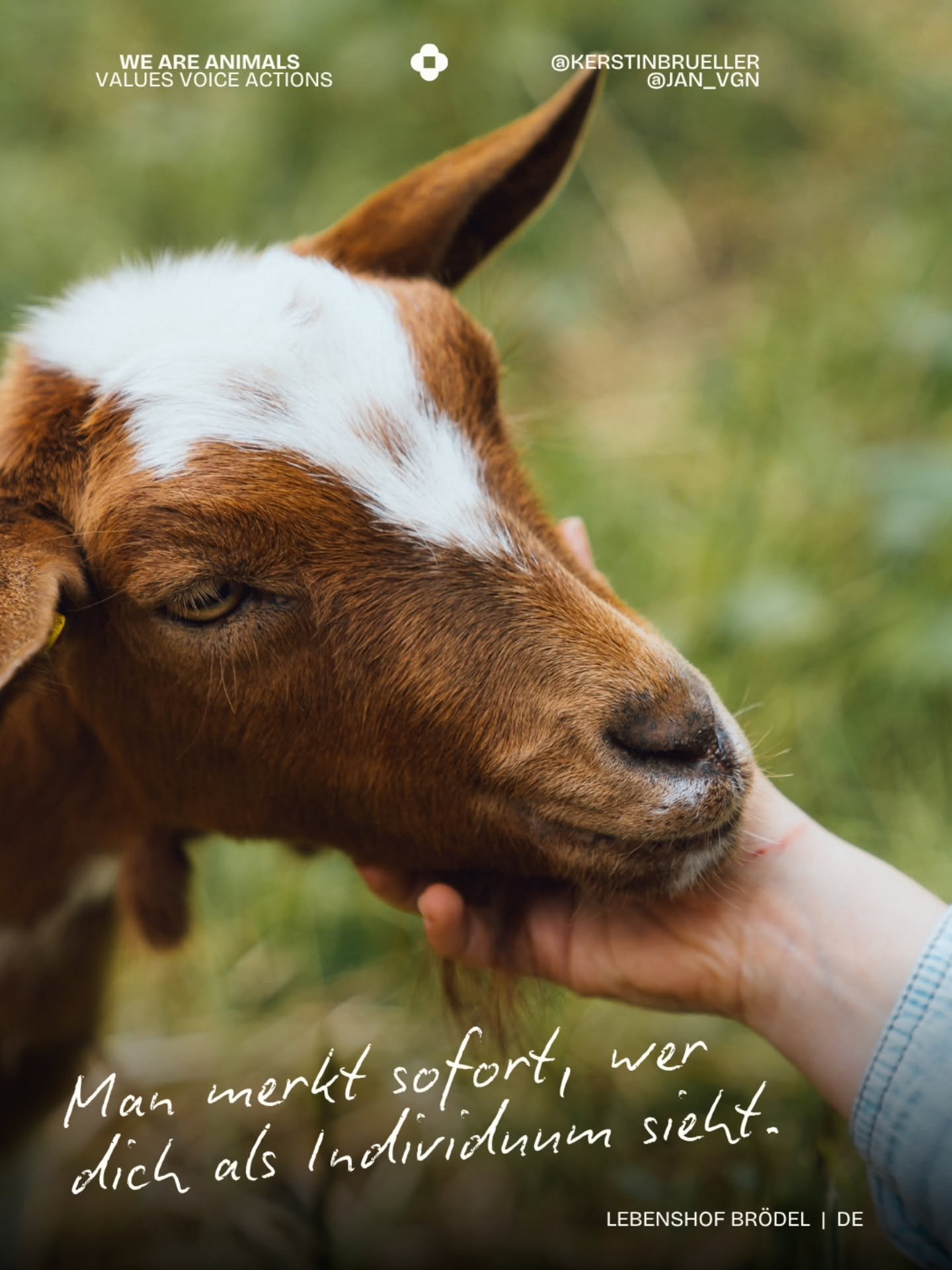 Manche Begegnungen brauchen keine Worte.&nbsp;
Ein Blick. Ein Gef&uuml;hl. Eine Entscheidung.

Foto: @jan_vgn &nbsp; | &nbsp; Lebenshof: Br&ouml;del, DE

#veganlife #veganfortheanimals #animalliberation #thoughtfulquote #empathy