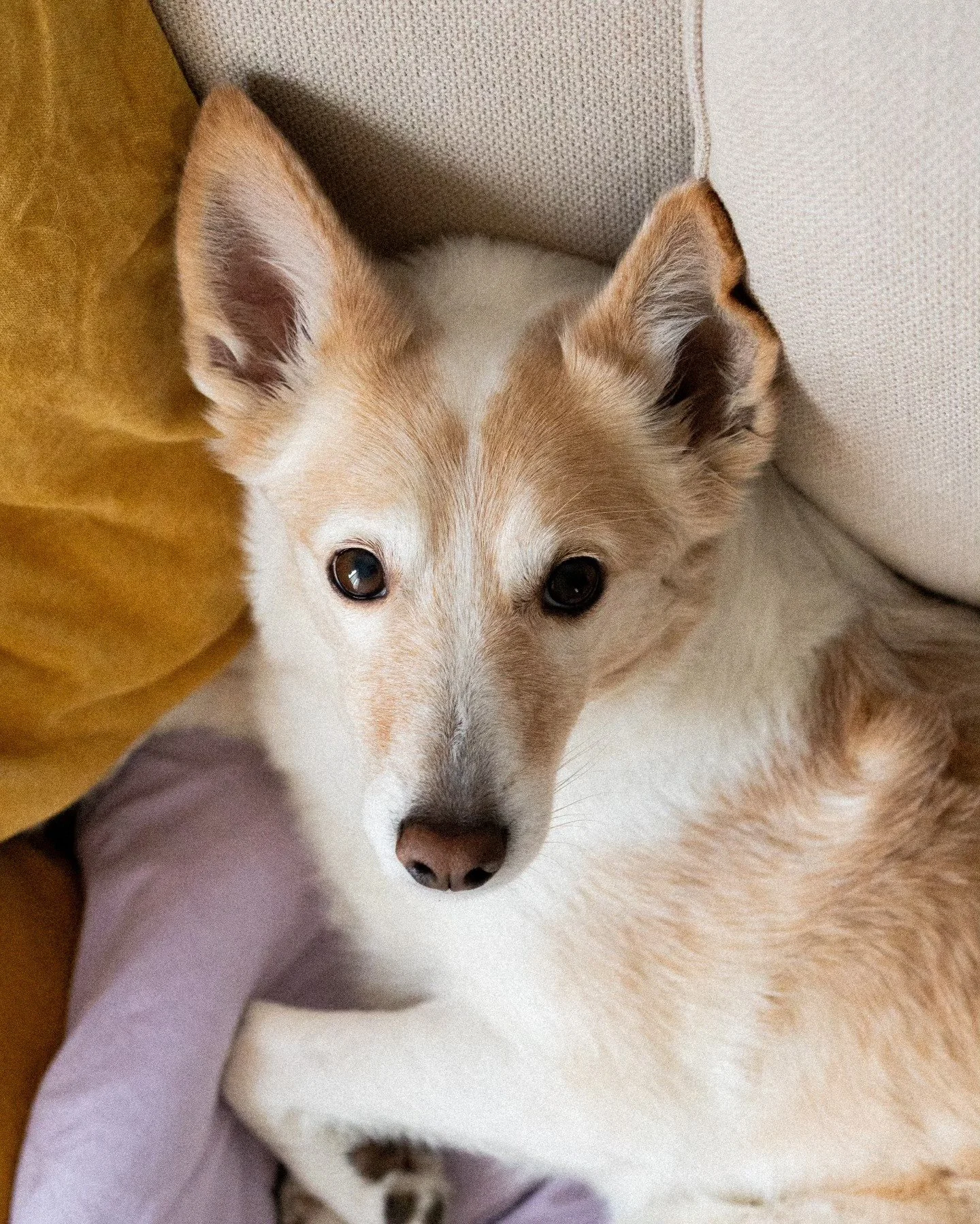 IT&rsquo;S MY BABY'S 6TH BIRTHDAY ✽ Friday the 1312, I think you can't have a better birthday. ♡

While I could write a whole book series on how much she means to me and how much love I have for her, I will keep it rather short, as anyone who's new h