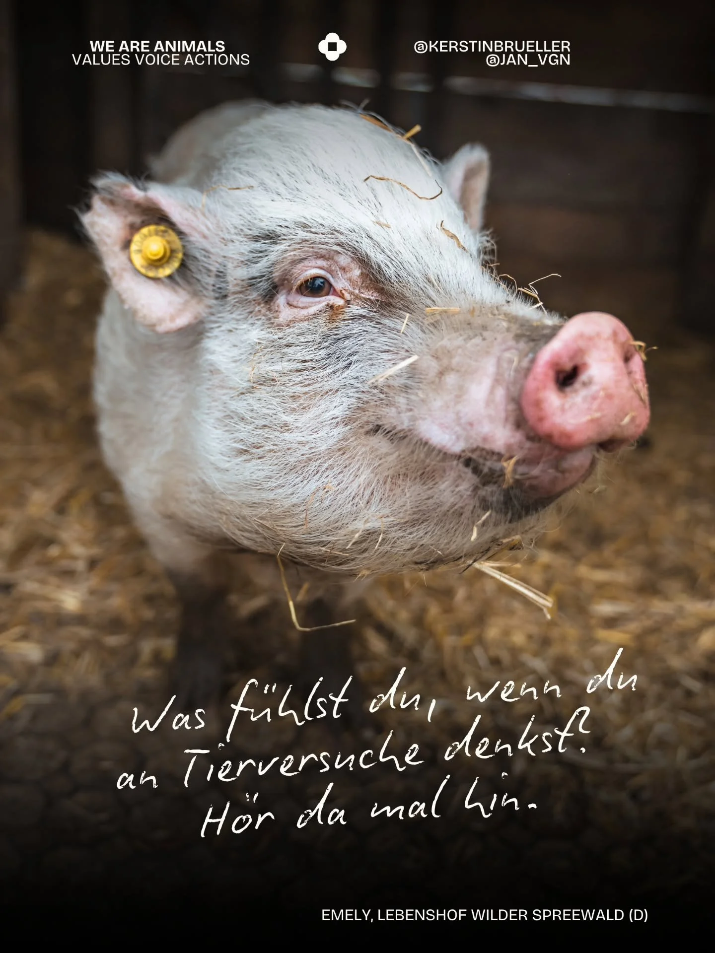 Heute, am 24. April, ist "Tag zur Abschaffung der Tierversuche".

Tierversuche sind kein abstraktes Thema. Sie passieren jeden Tag an f&uuml;hlenden Lebewesen &ndash; die leiden, die Angst haben, die keine Wahl haben. Die get*tet werden &nd