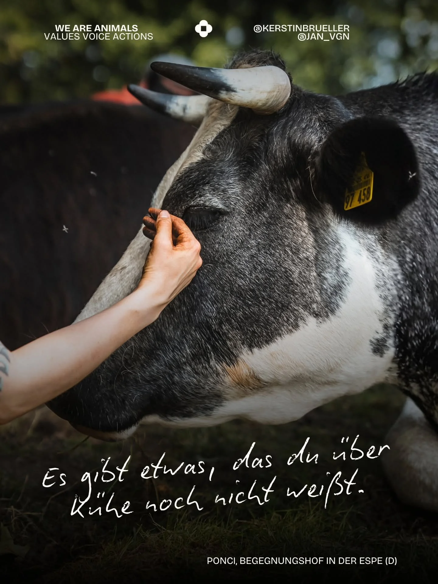 Ich habe den Gro&szlig;teil meines Lebens Kuhmilch konsumiert. Nicht weil mir Tiere egal waren, sondern weil ich folgendes schlicht nicht wusste:

Dass eine Kuh nur Milch gibt, weil sie ein Kalb bekommen hat. Dass Mutter und Kalb nach der Geburt getr